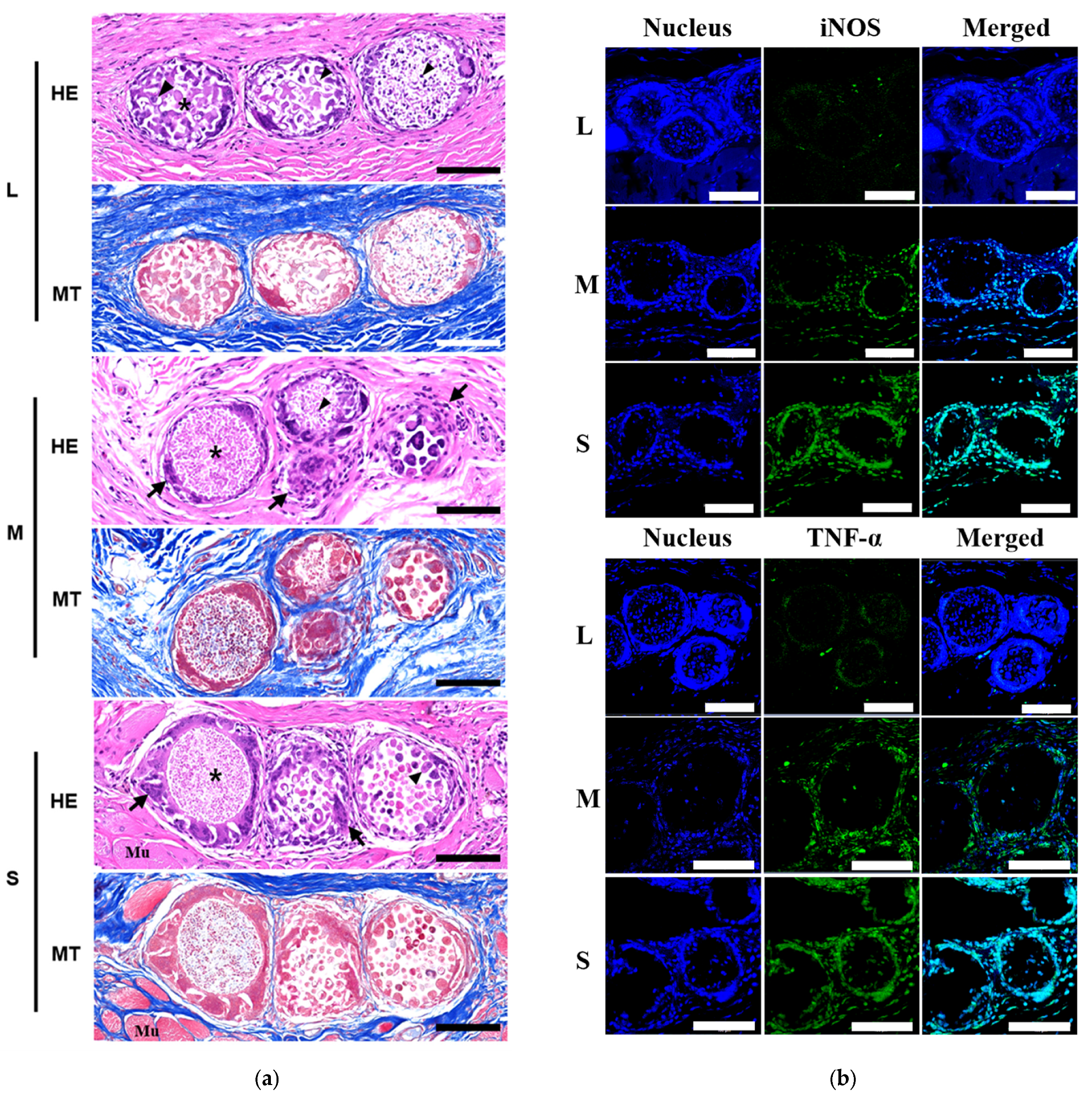 Pharmaceutics 14 02345 g006