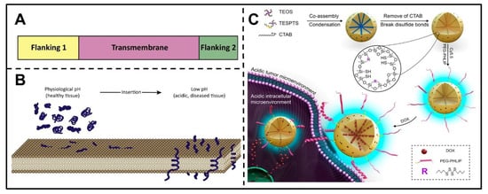 Pharmaceutics 14 02346 g002