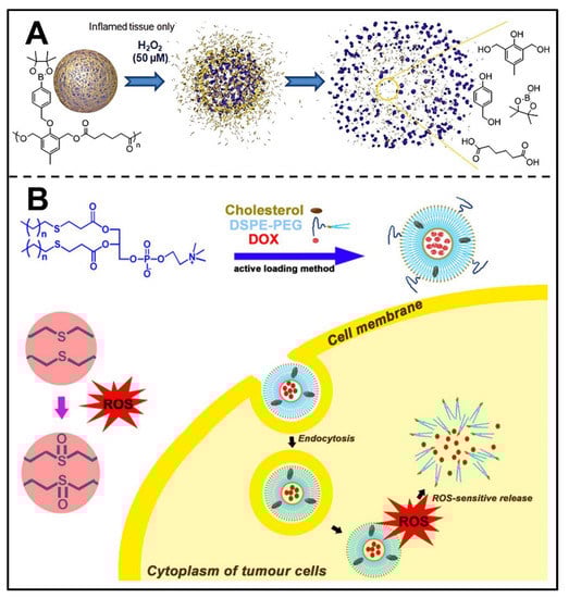 Pharmaceutics 14 02346 g007