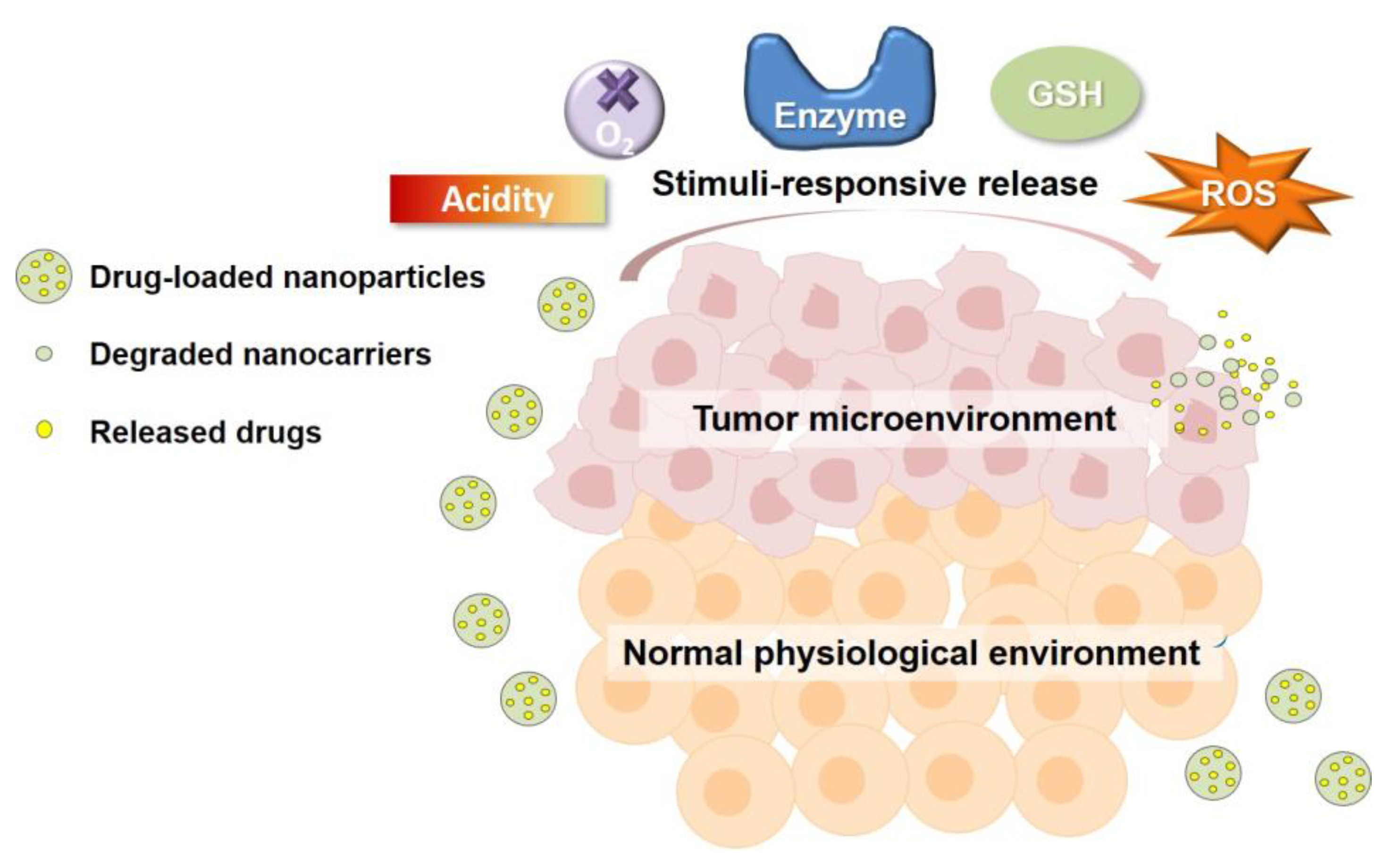 Pharmaceutics 14 02346 sch001