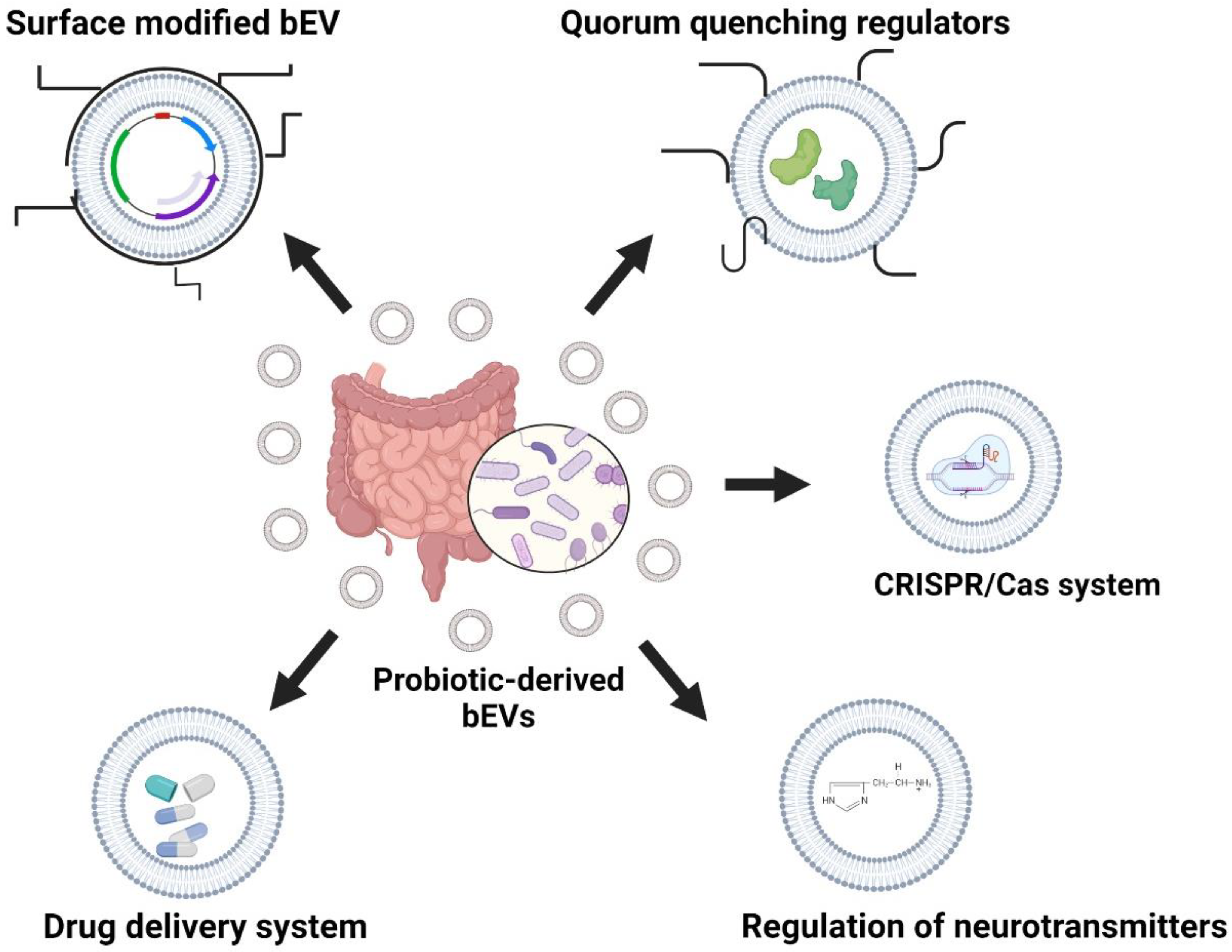 Pharmaceutics 14 02370 g003