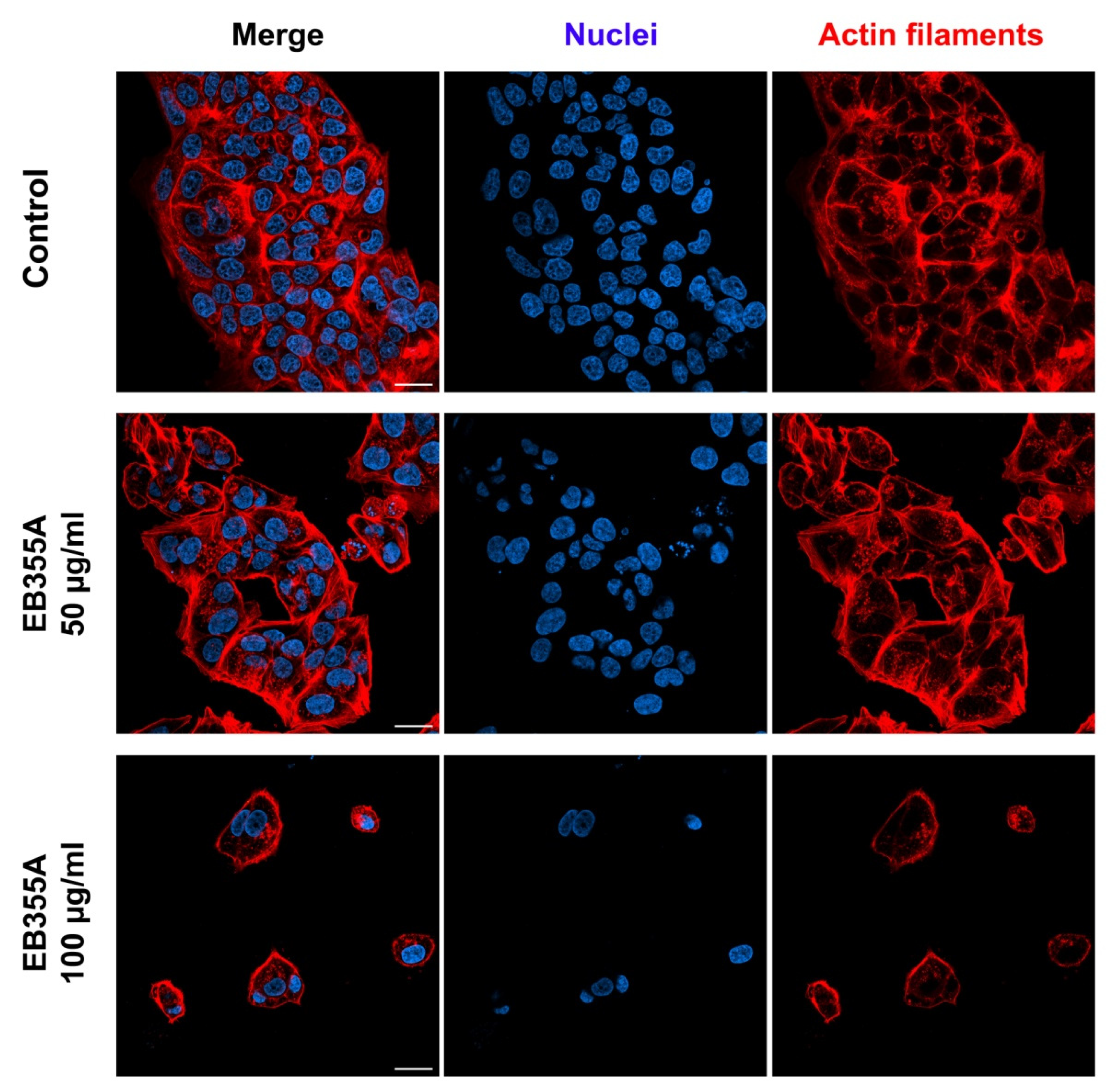 Pharmaceutics 14 02372 g005