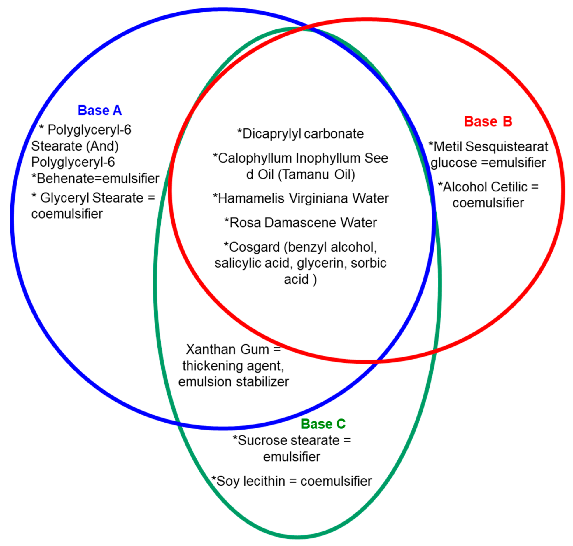 Pharmaceutics 14 02376 g001