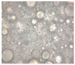 Pharmaceutics 14 02376 i012 Pharmaceutics 14 02376 i012