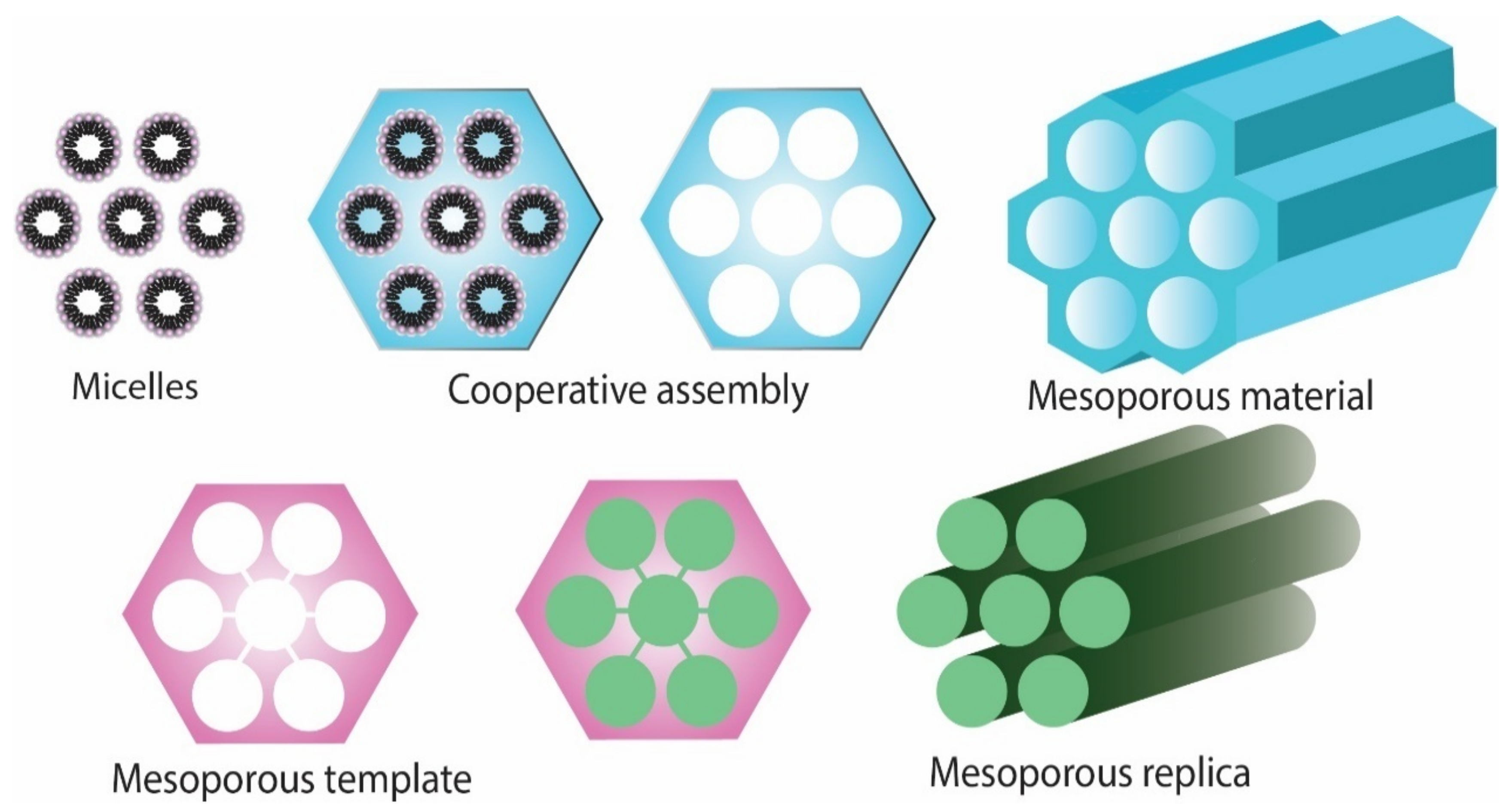 Pharmaceutics 14 02382 g001