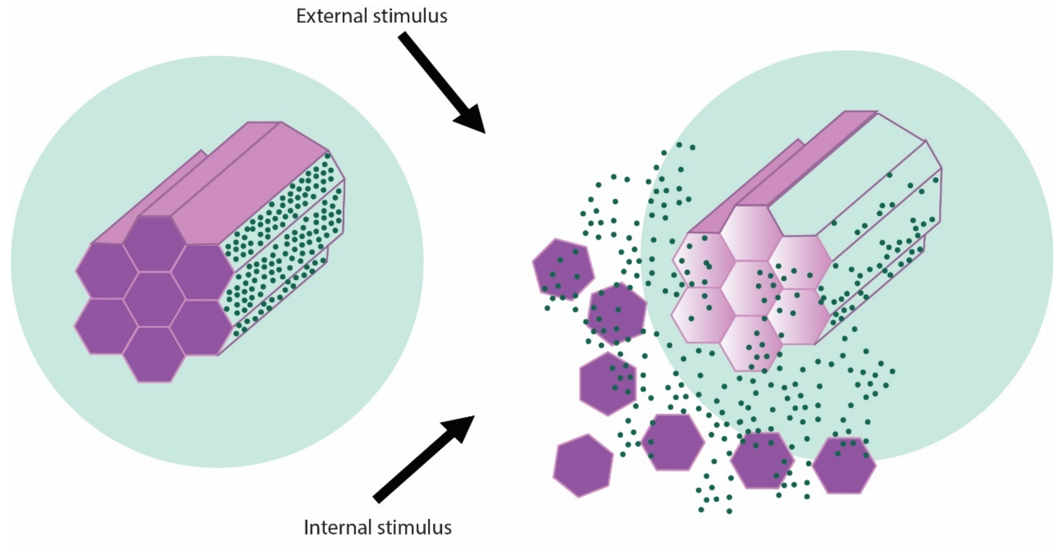Pharmaceutics 14 02382 g002