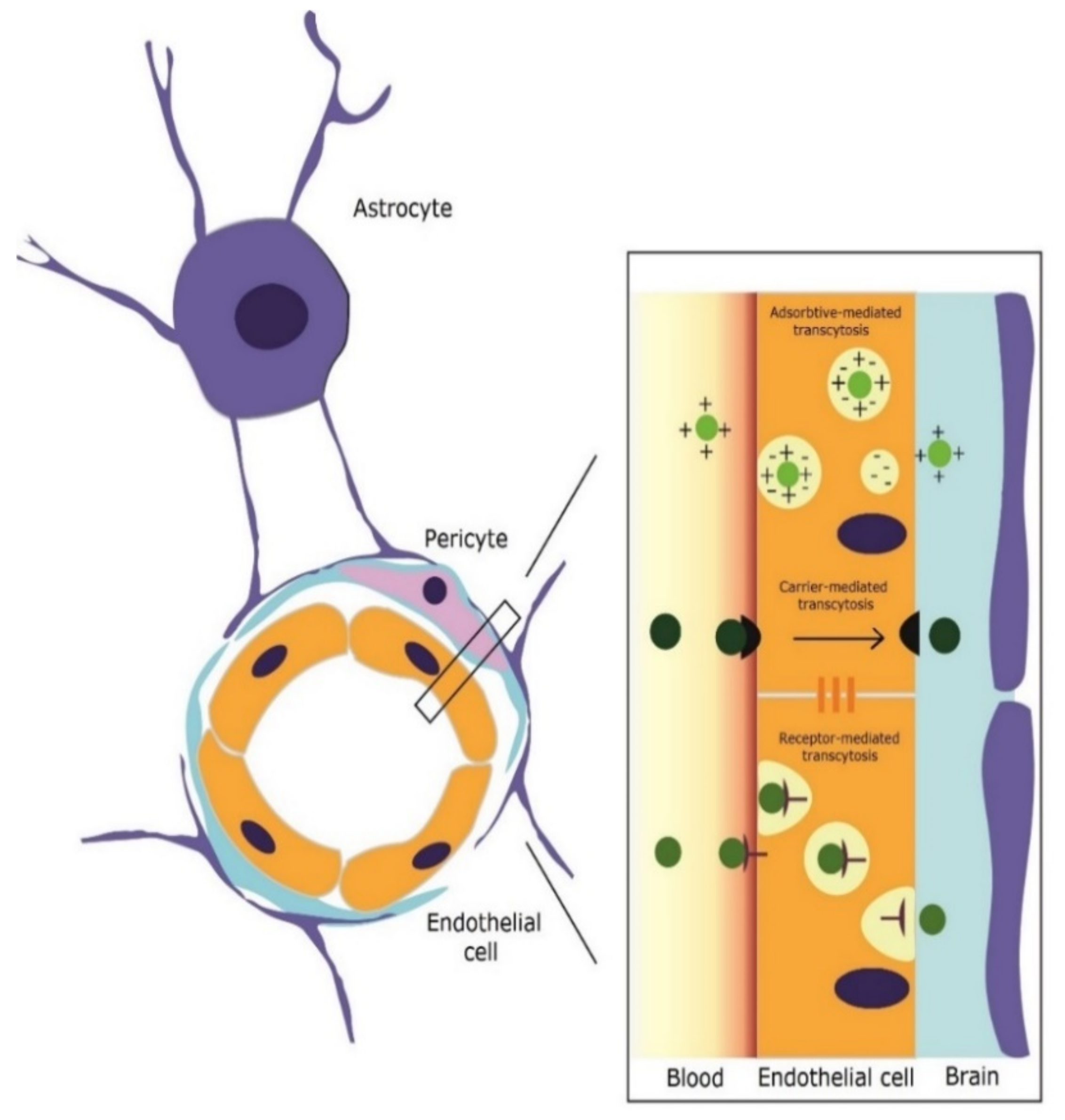 Pharmaceutics 14 02382 g003