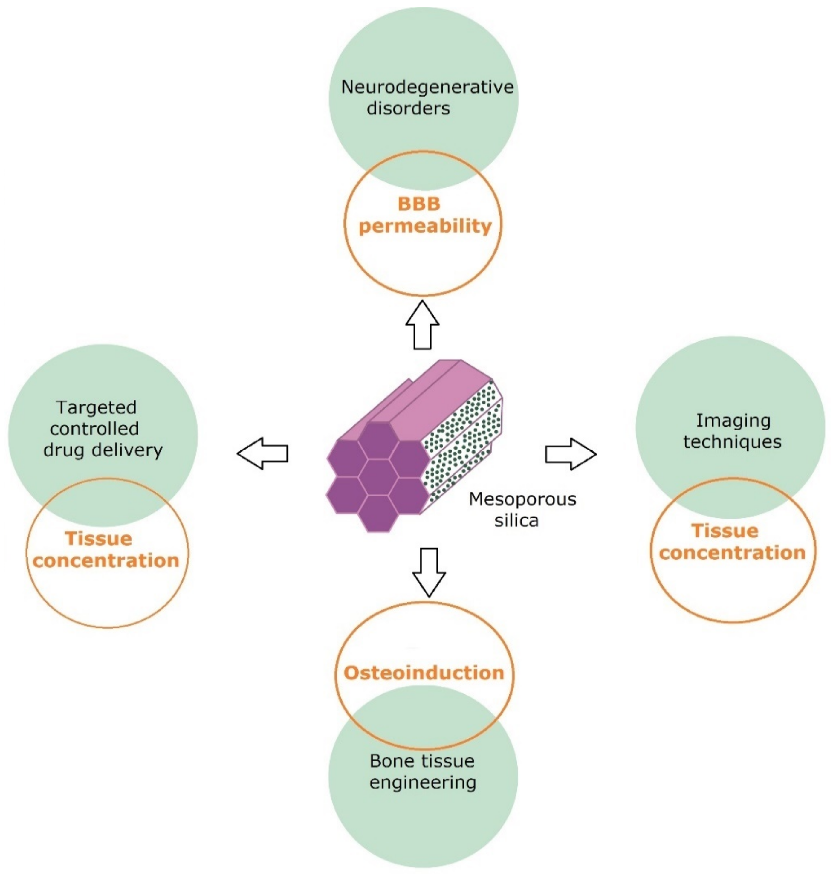 Pharmaceutics 14 02382 g004