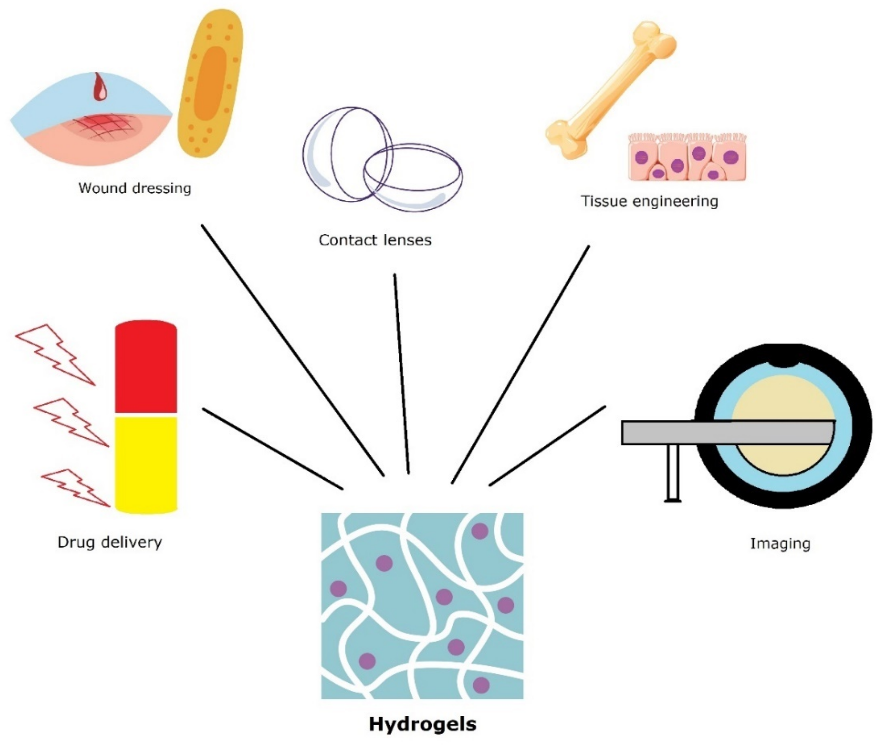 Pharmaceutics 14 02382 g006