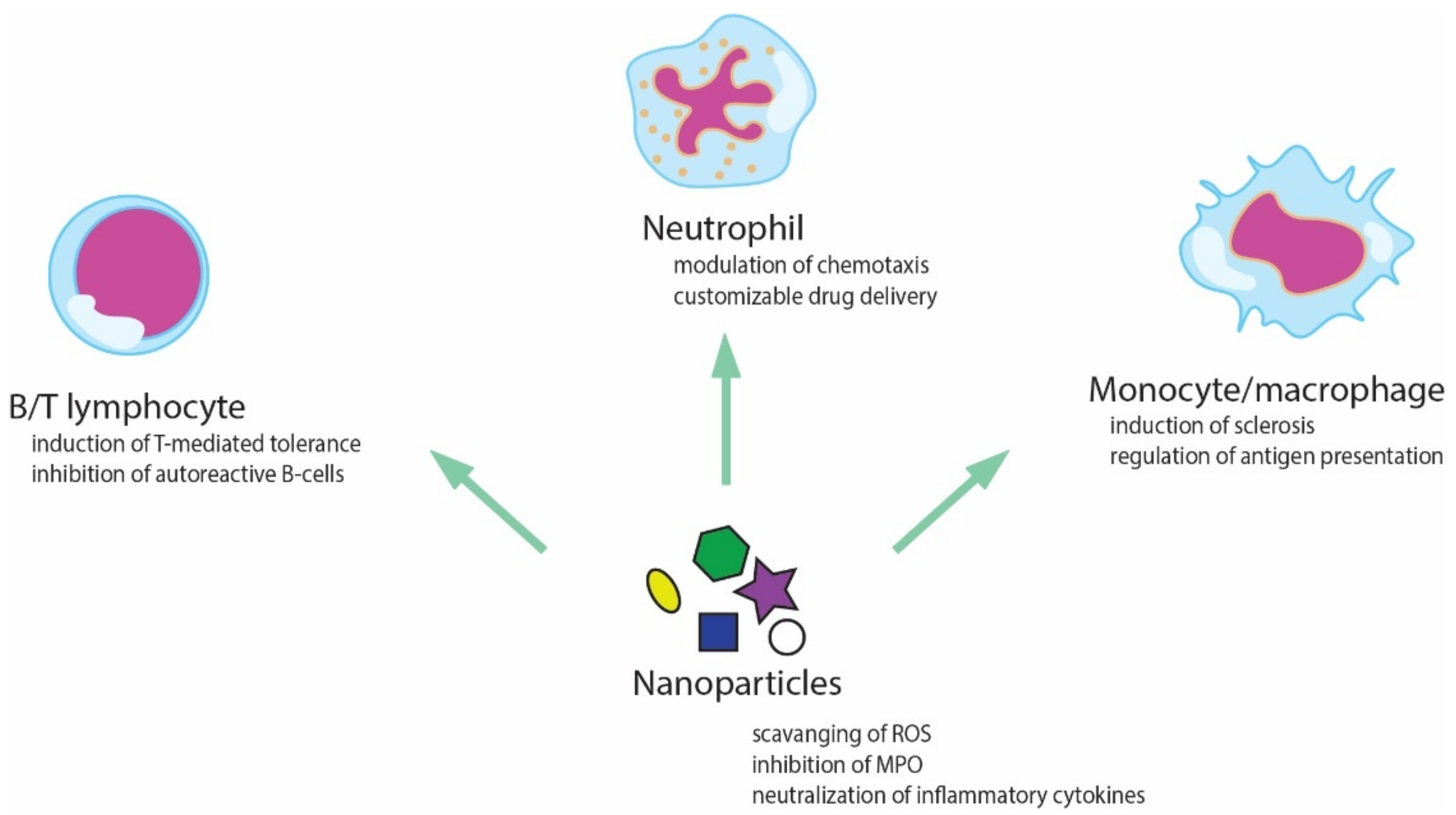 Pharmaceutics 14 02382 g007