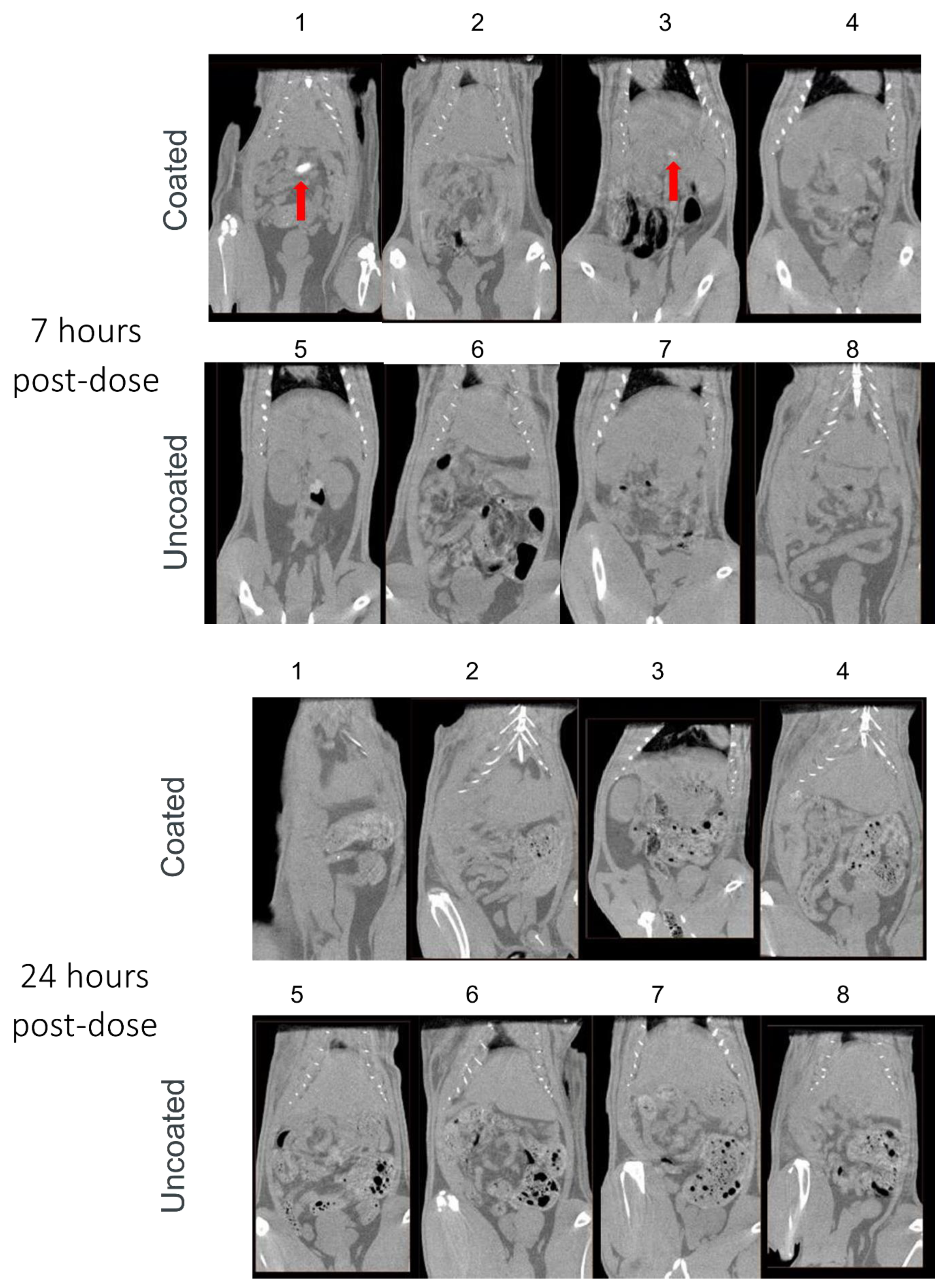 Pharmaceutics 14 02385 g002b