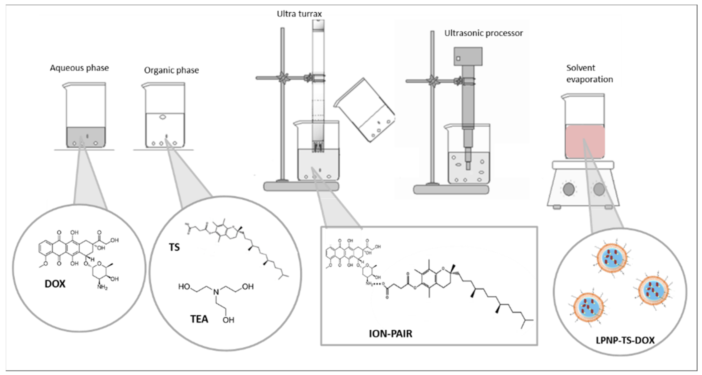 Pharmaceutics 14 02394 g001 Pharmaceutics 14 02394 g001