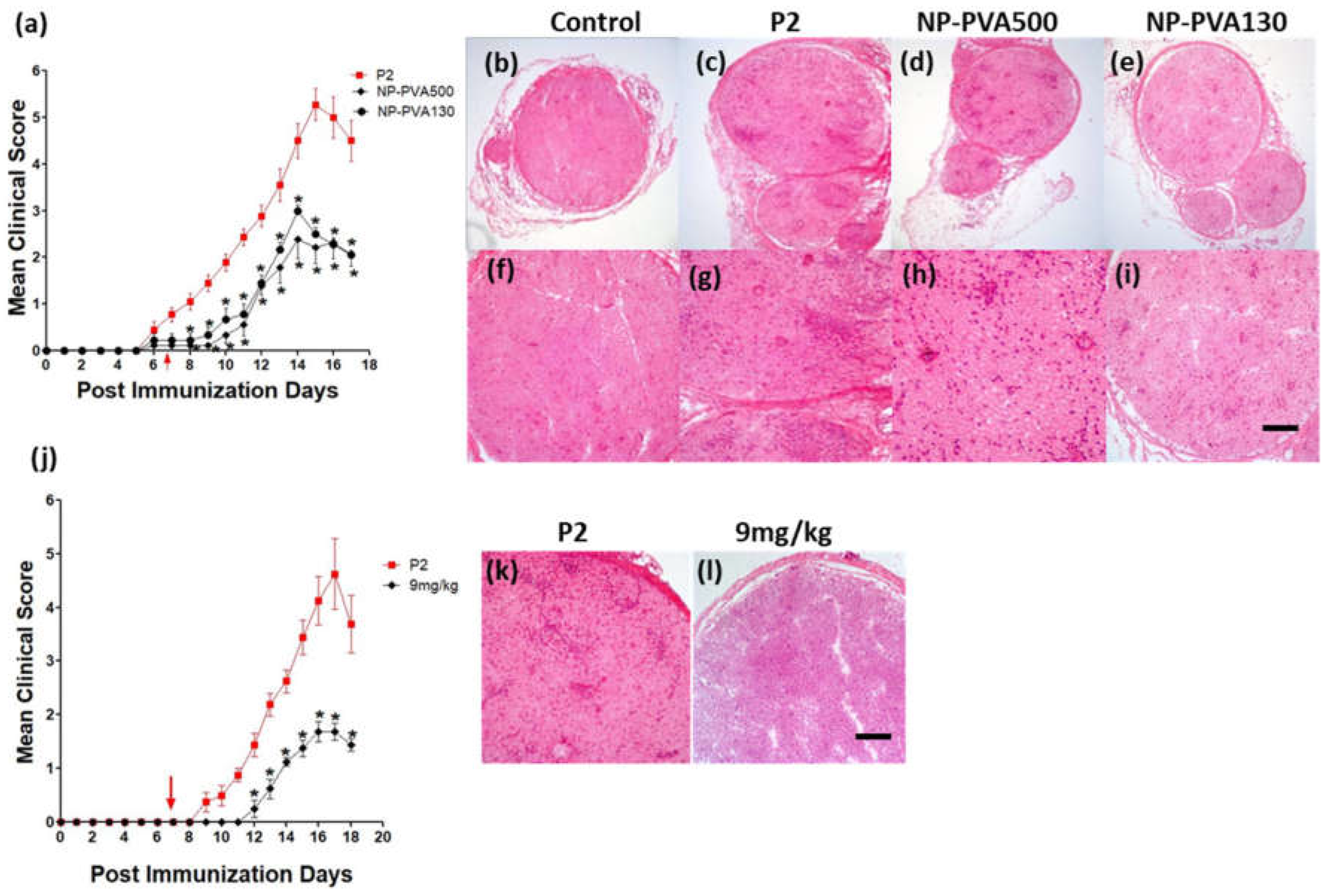 Pharmaceutics 14 02410 g002