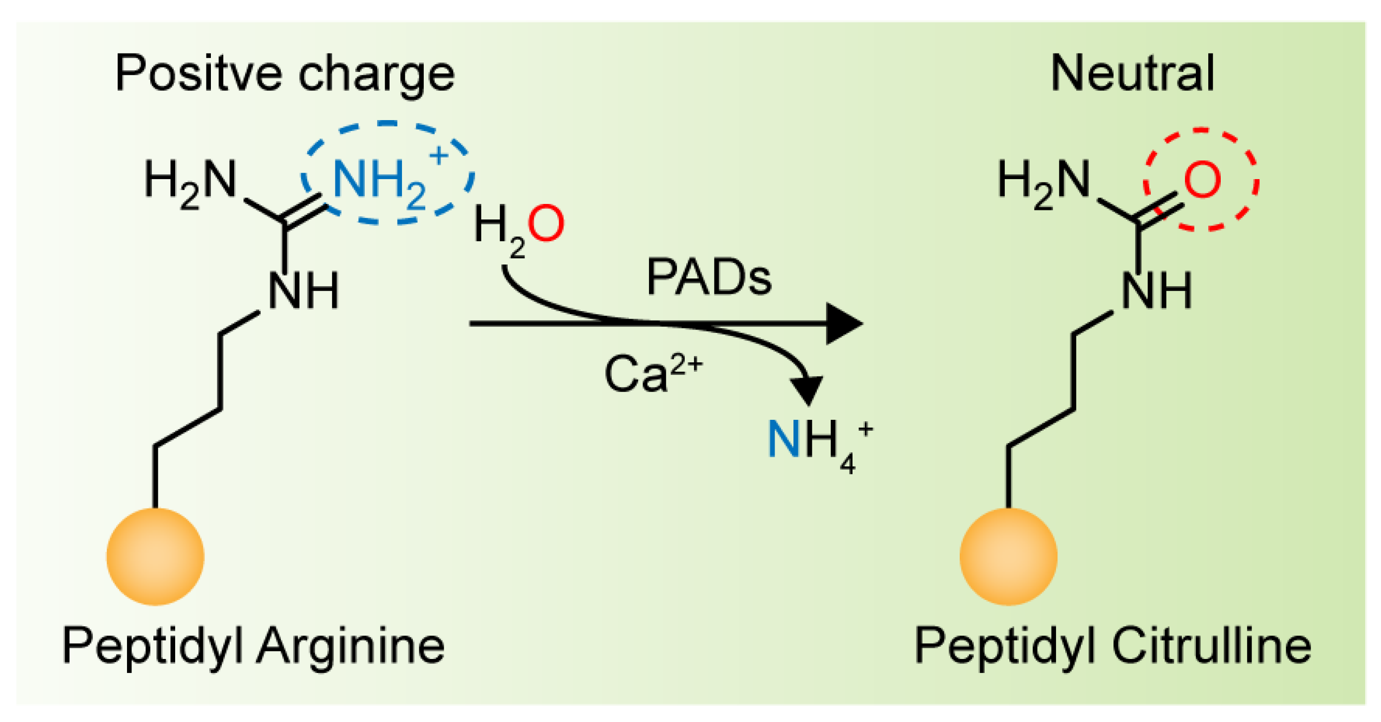 Pharmaceutics 14 02414 g002