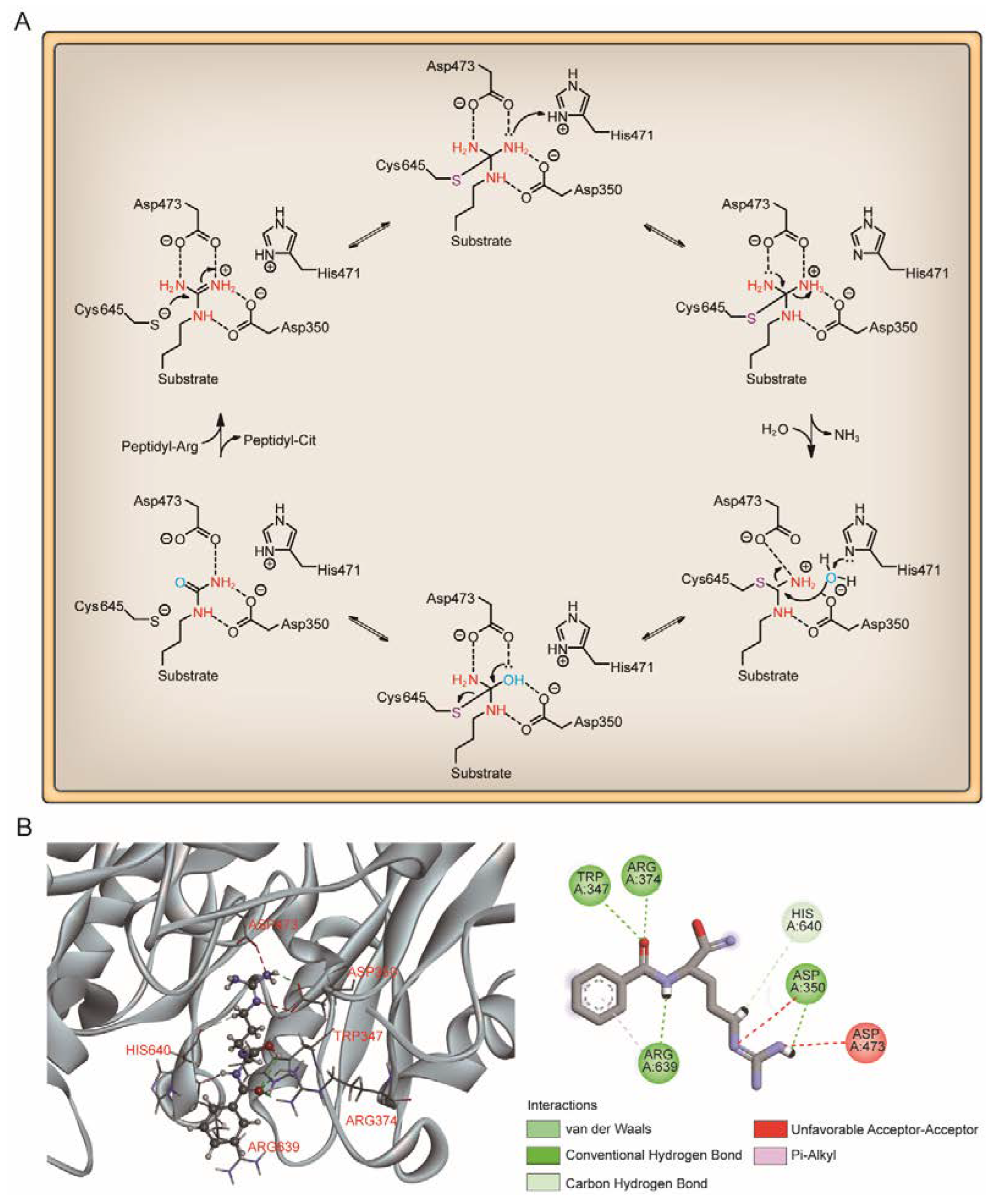 Pharmaceutics 14 02414 g004