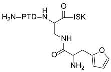 Pharmaceutics 14 02414 i008 Pharmaceutics 14 02414 i008
