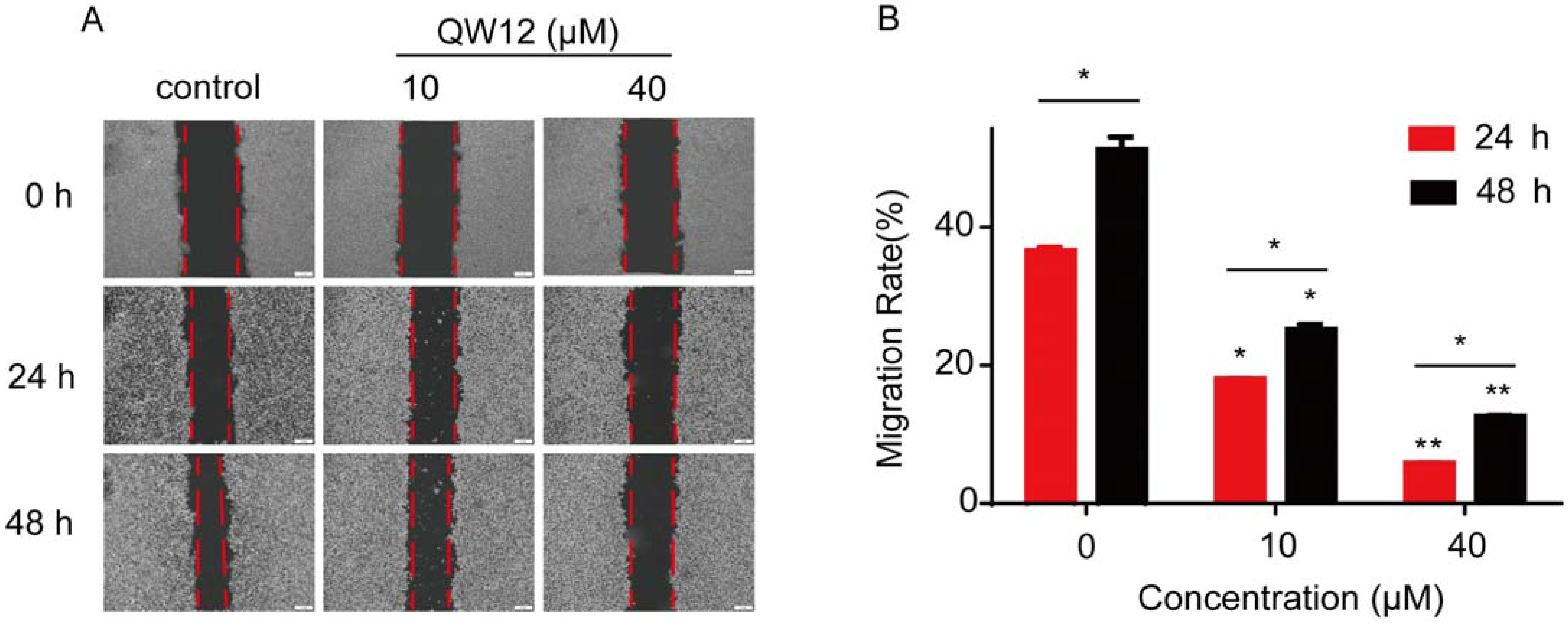 Pharmaceutics 14 02420 g003 Pharmaceutics 14 02420 g003