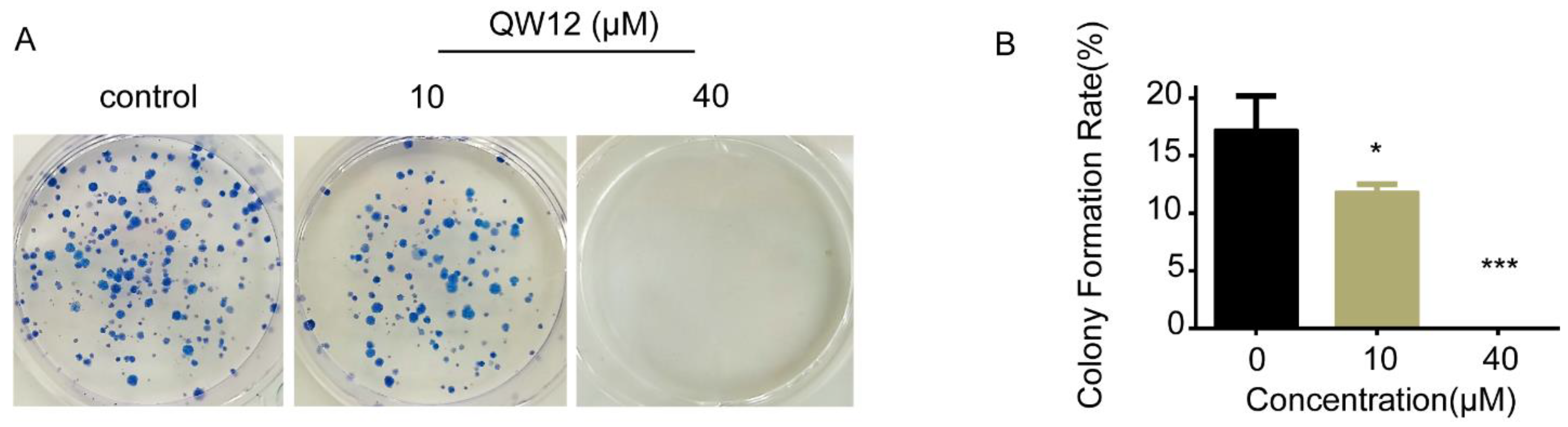 Pharmaceutics 14 02420 g004 Pharmaceutics 14 02420 g004