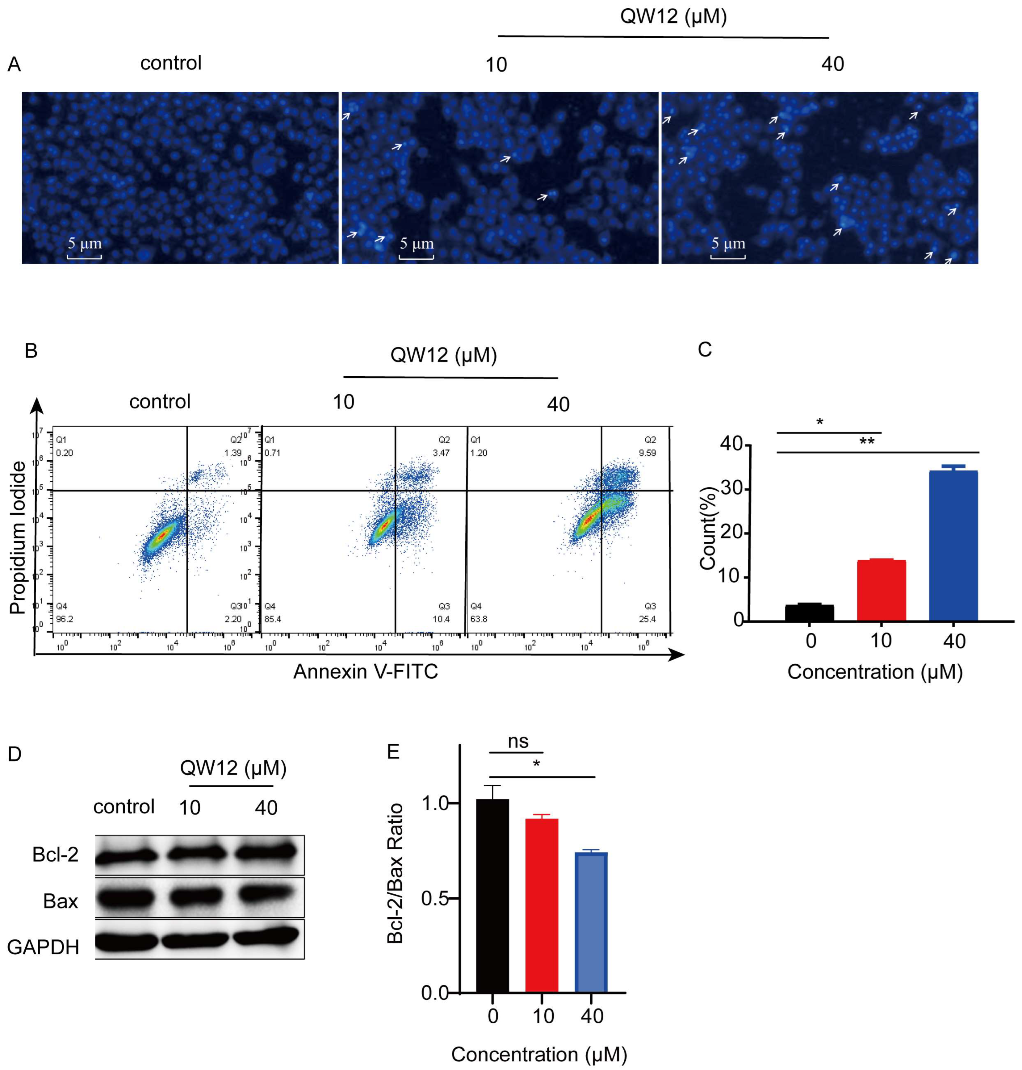 Pharmaceutics 14 02420 g006 Pharmaceutics 14 02420 g006