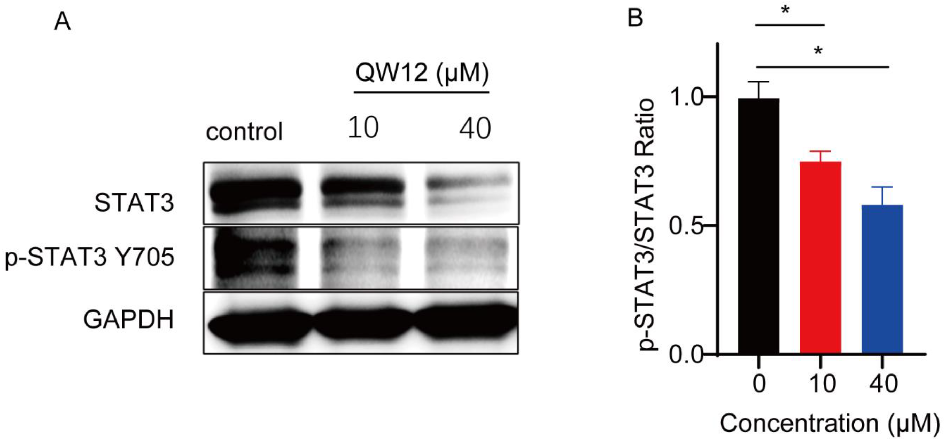 Pharmaceutics 14 02420 g008 Pharmaceutics 14 02420 g008