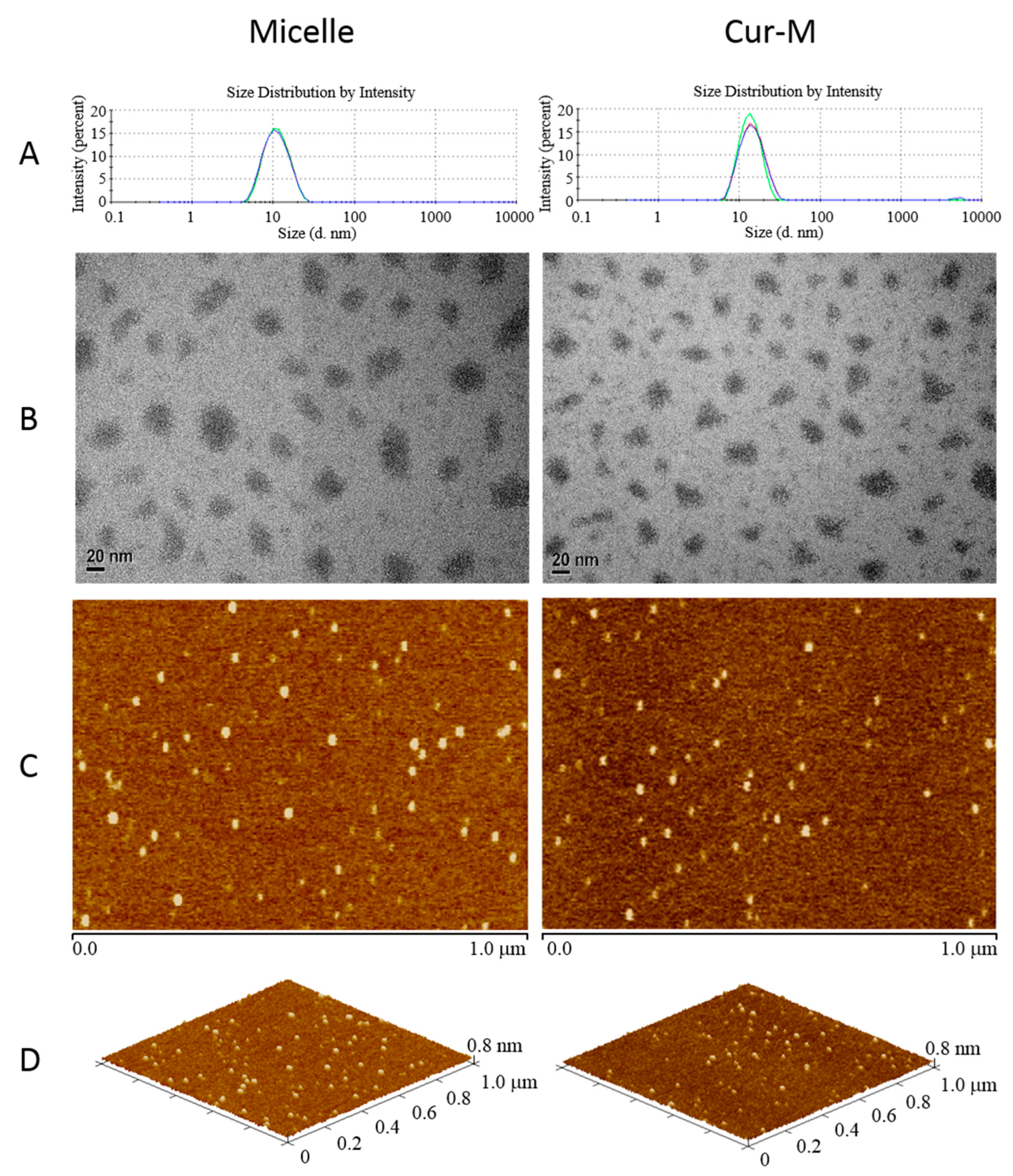 Pharmaceutics 14 02422 g002 Pharmaceutics 14 02422 g002