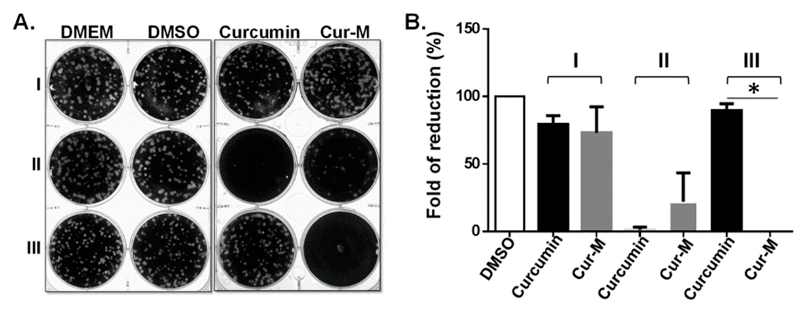 Pharmaceutics 14 02422 g004 Pharmaceutics 14 02422 g004