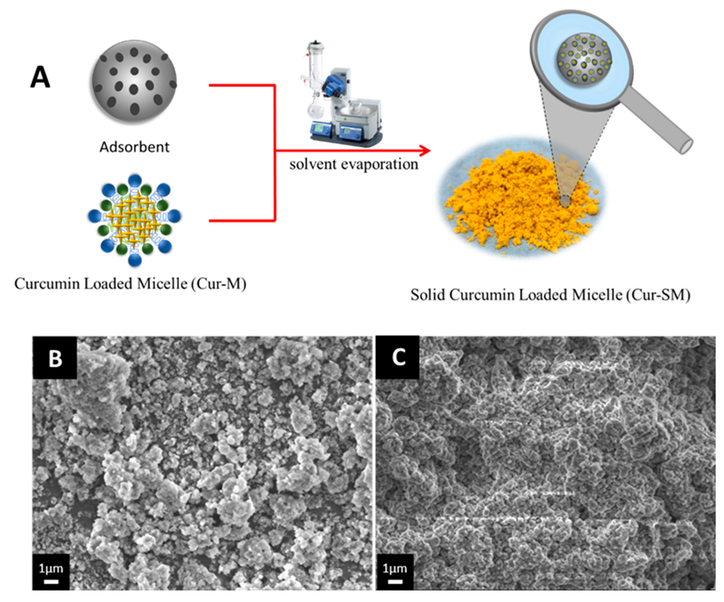 Pharmaceutics 14 02422 g005 Pharmaceutics 14 02422 g005