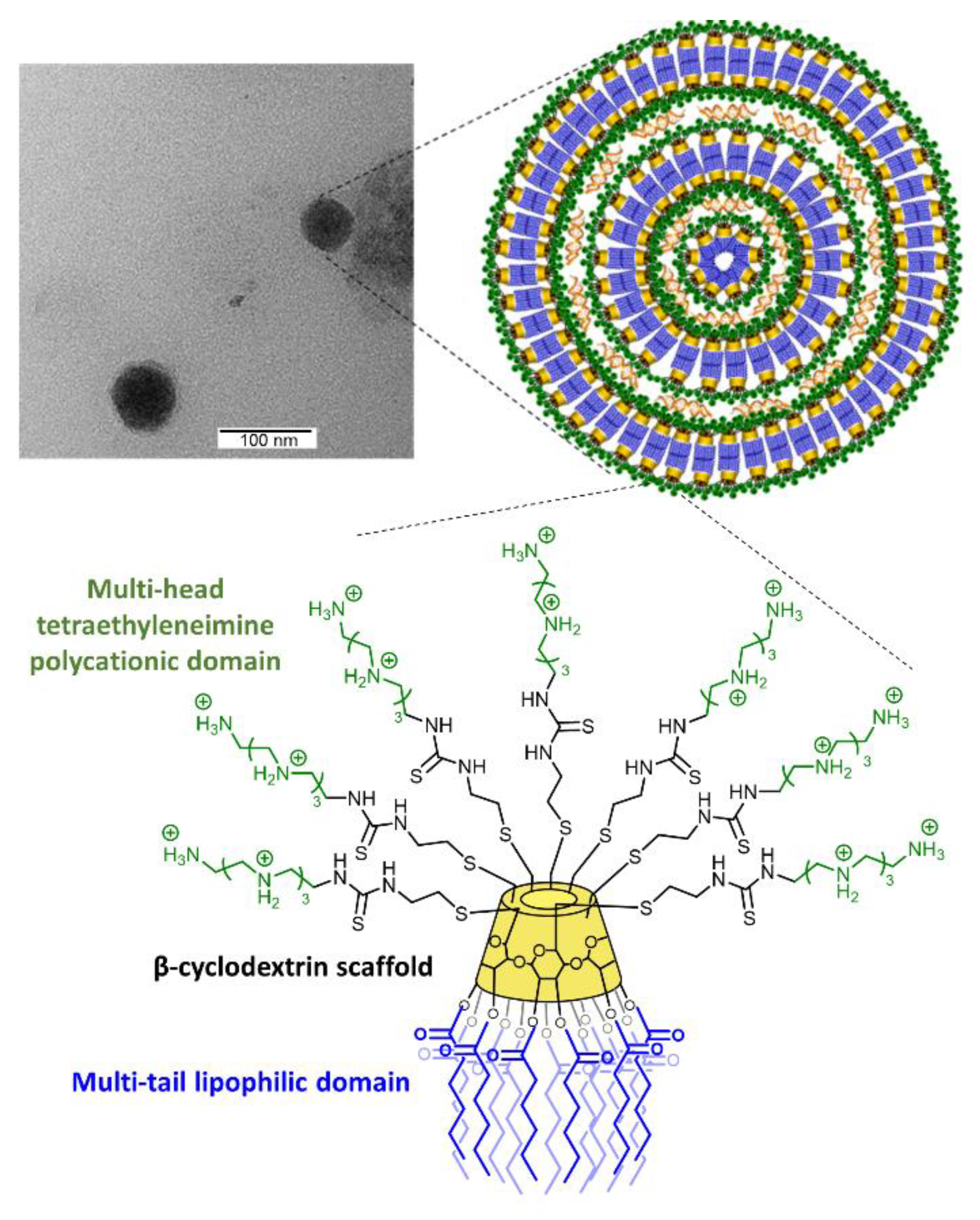 Pharmaceutics 14 02424 g001