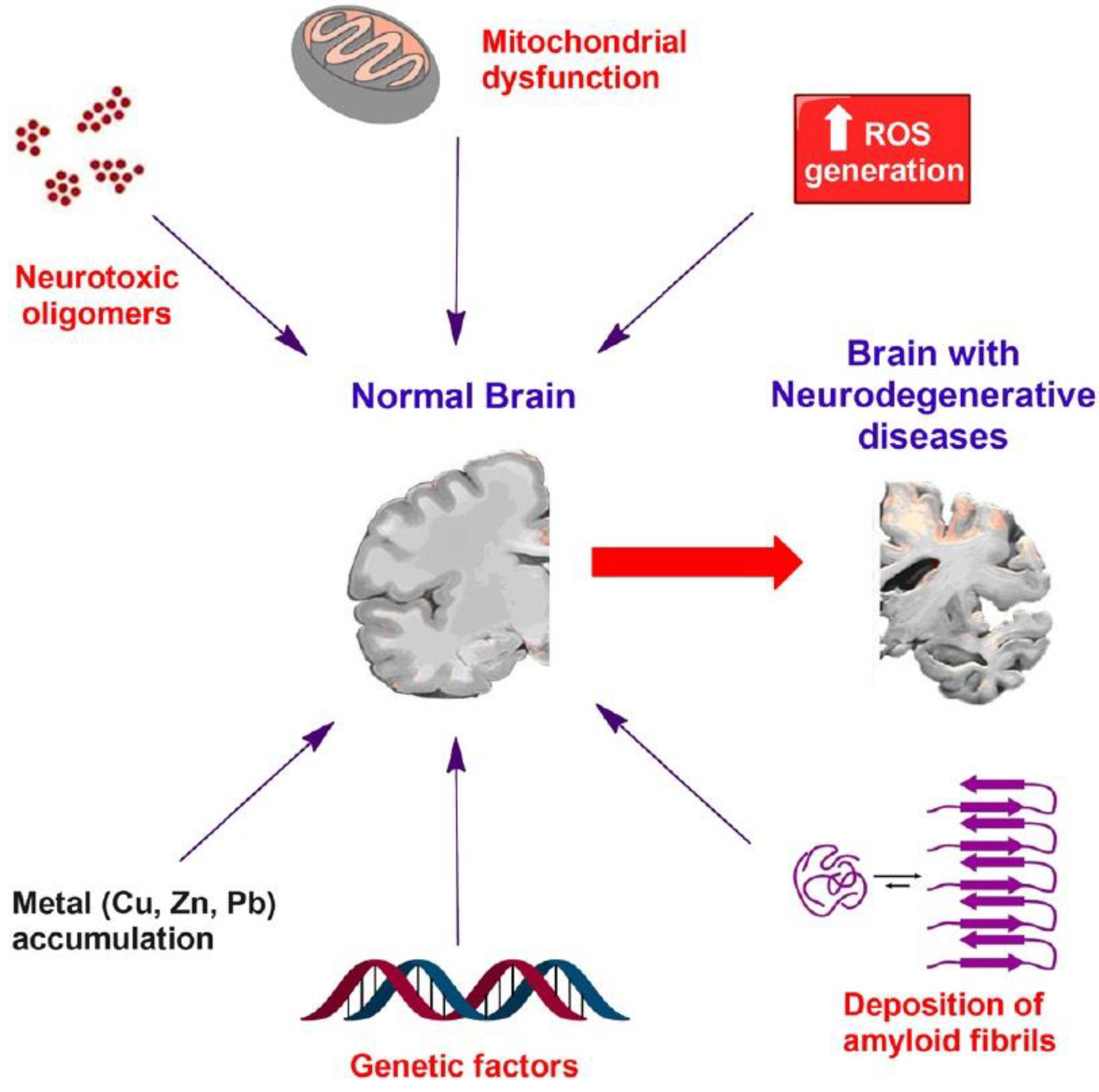 Pharmaceutics 14 02425 g001