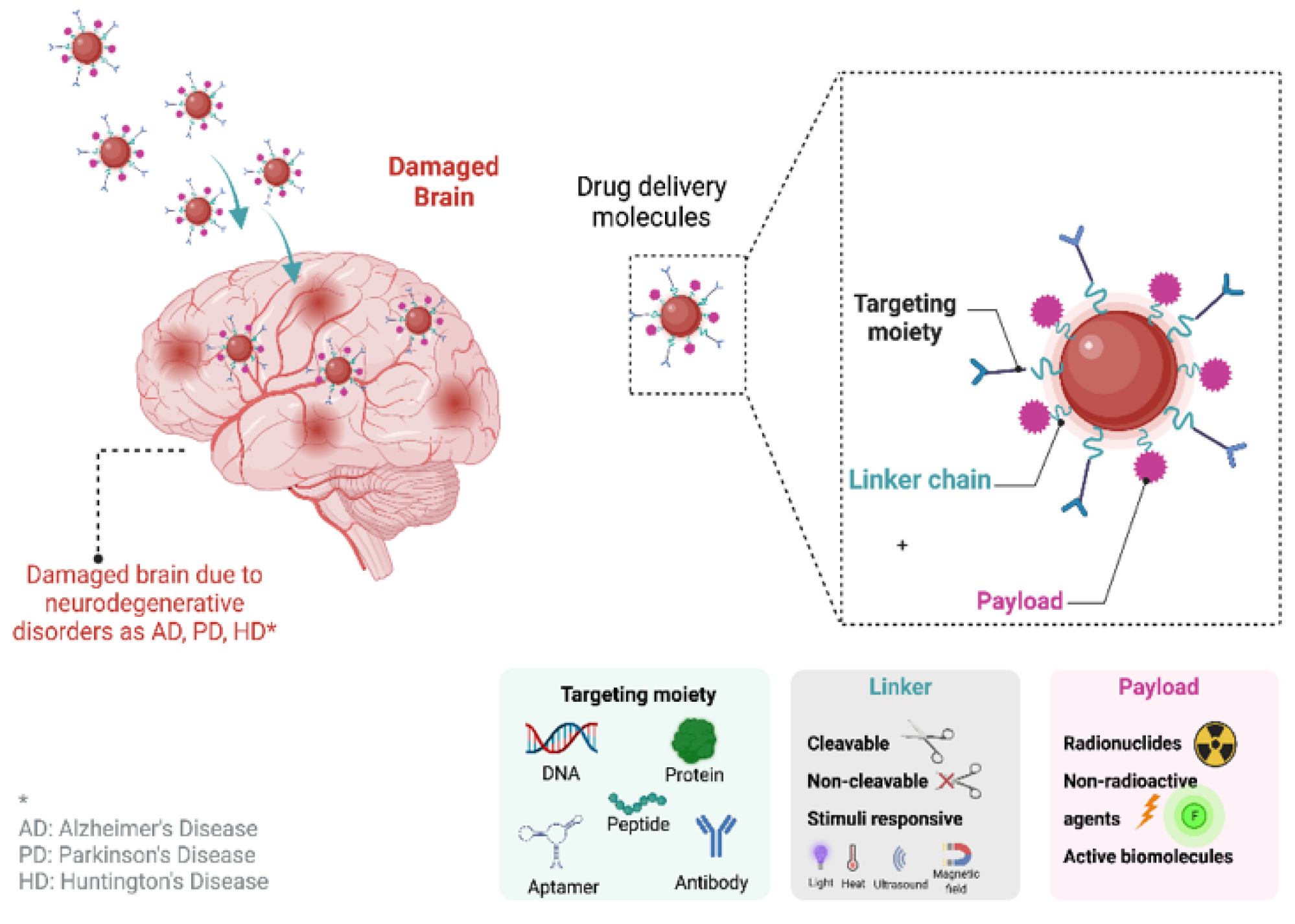 Pharmaceutics 14 02425 g004