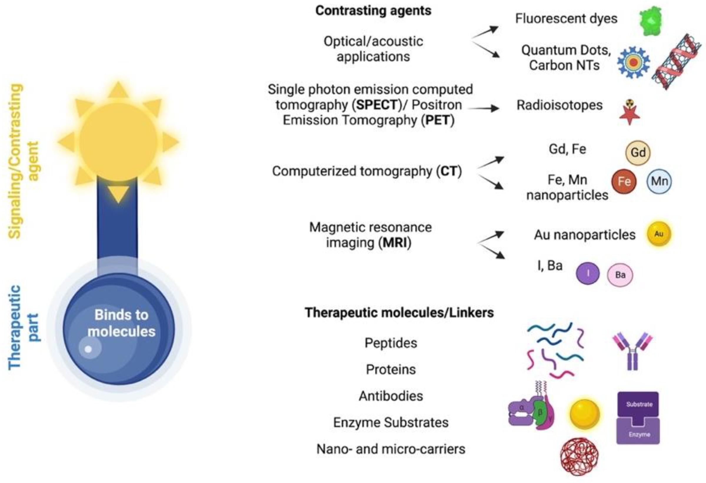 Pharmaceutics 14 02425 g009
