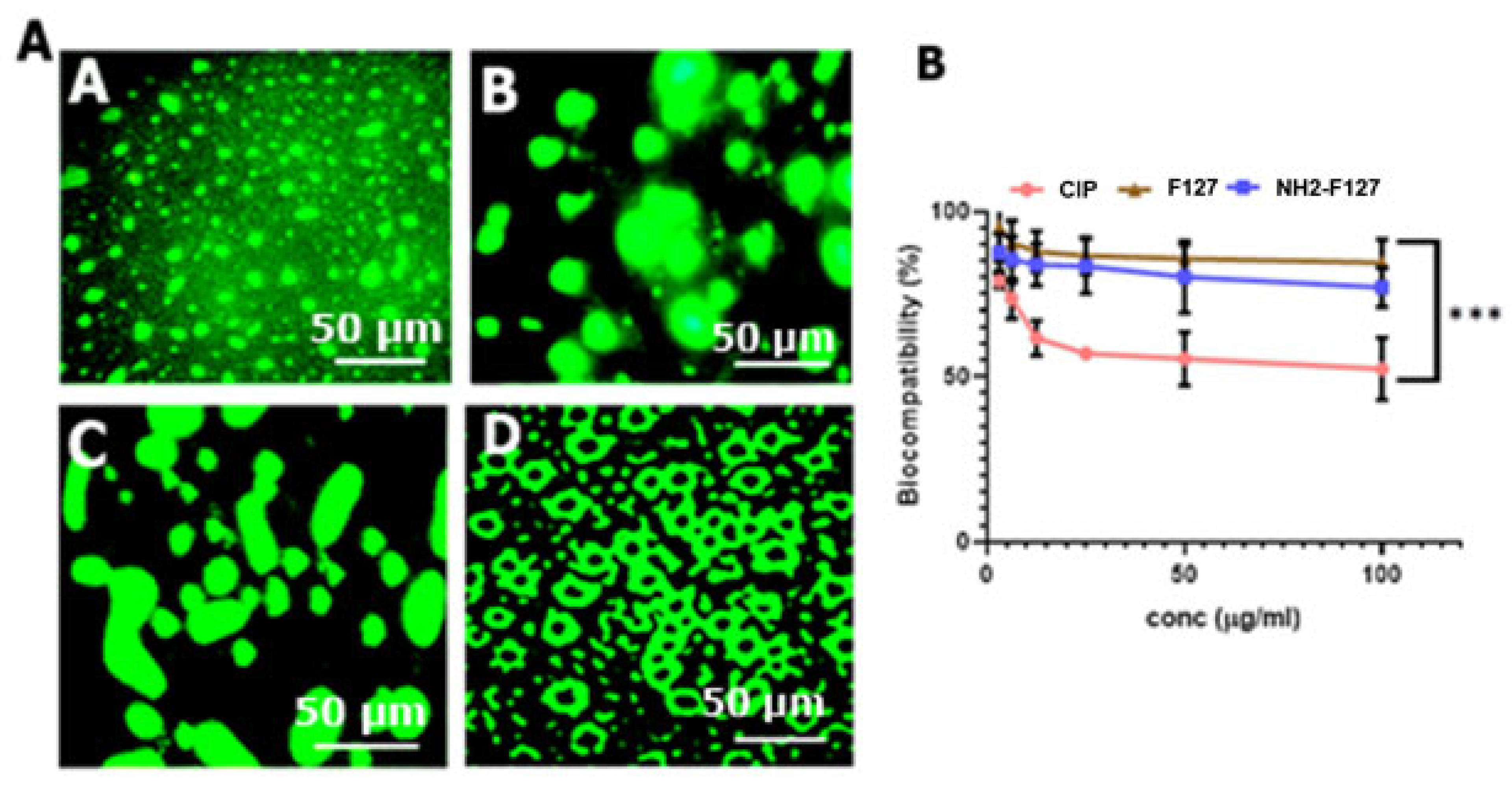 Pharmaceutics 14 02433 g012