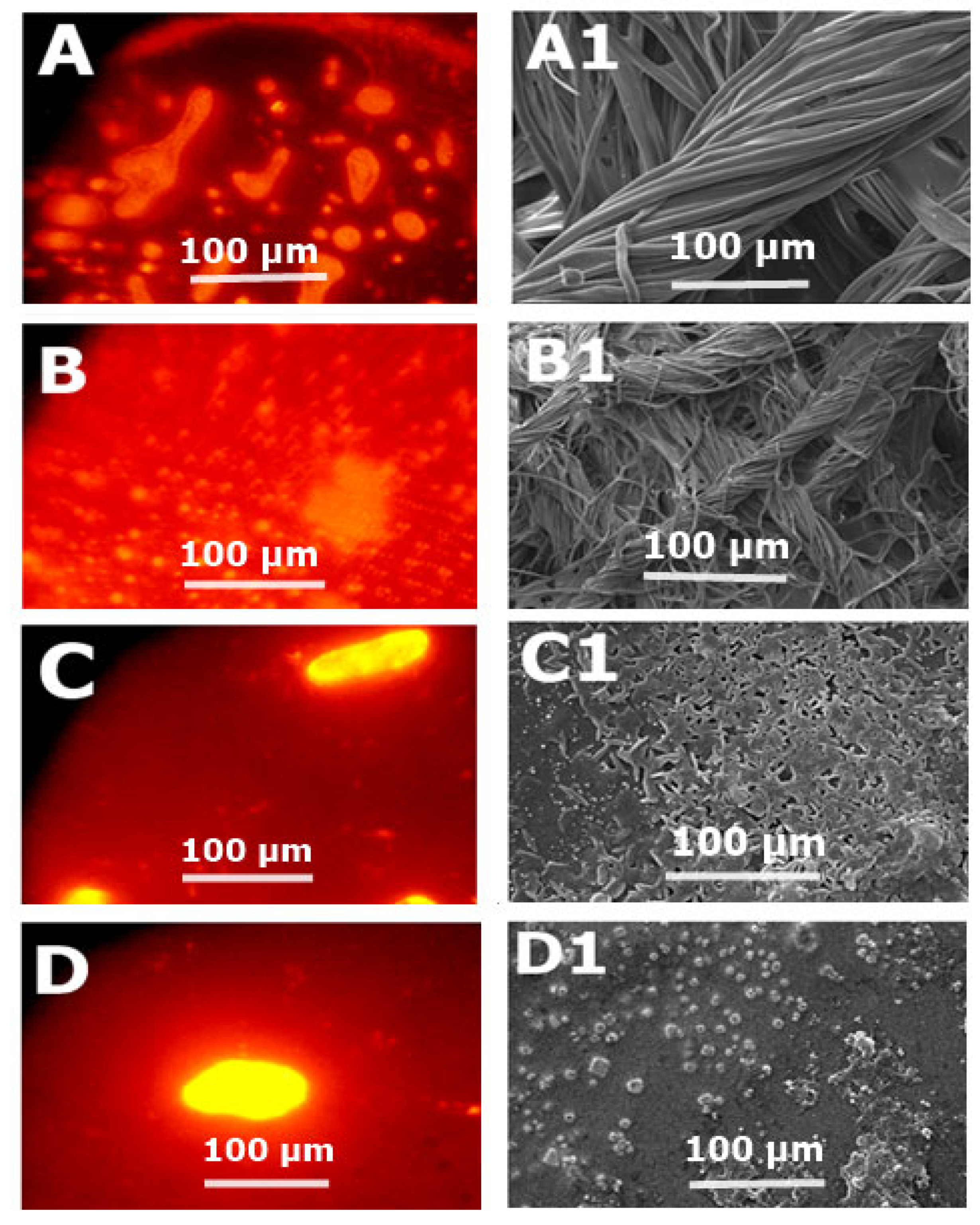 Pharmaceutics 14 02433 g014