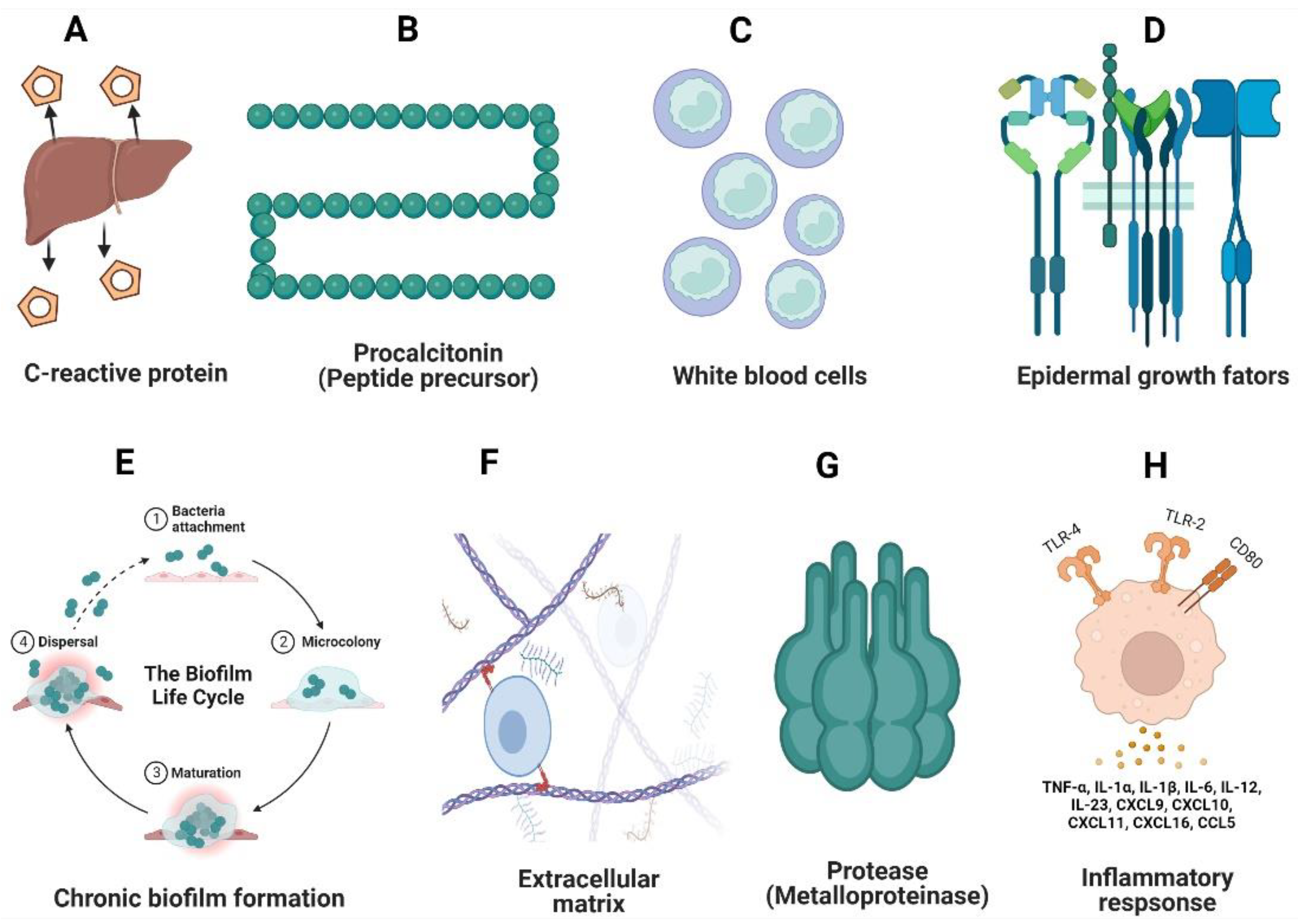 Pharmaceutics 14 02436 g003