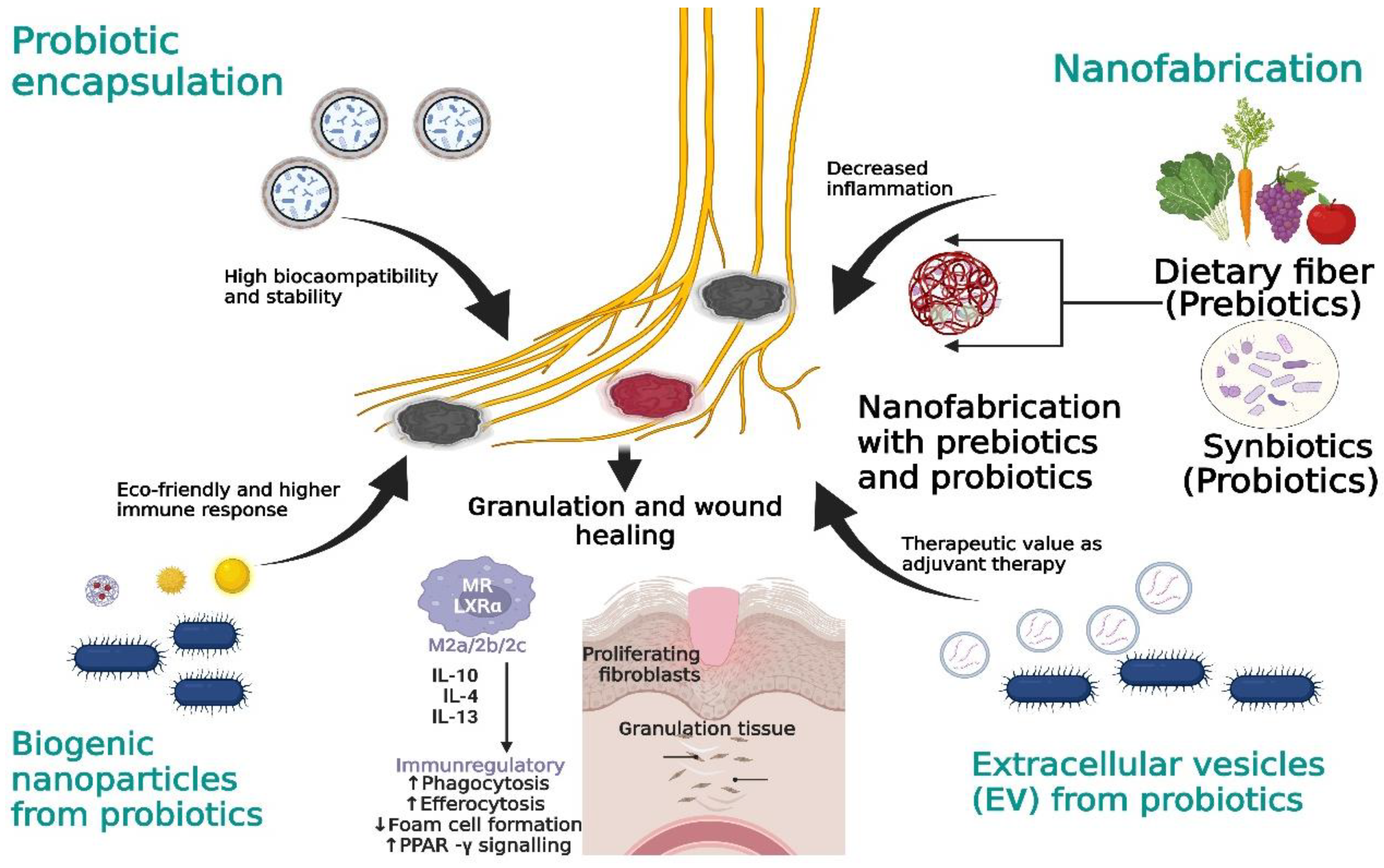 Pharmaceutics 14 02436 g004