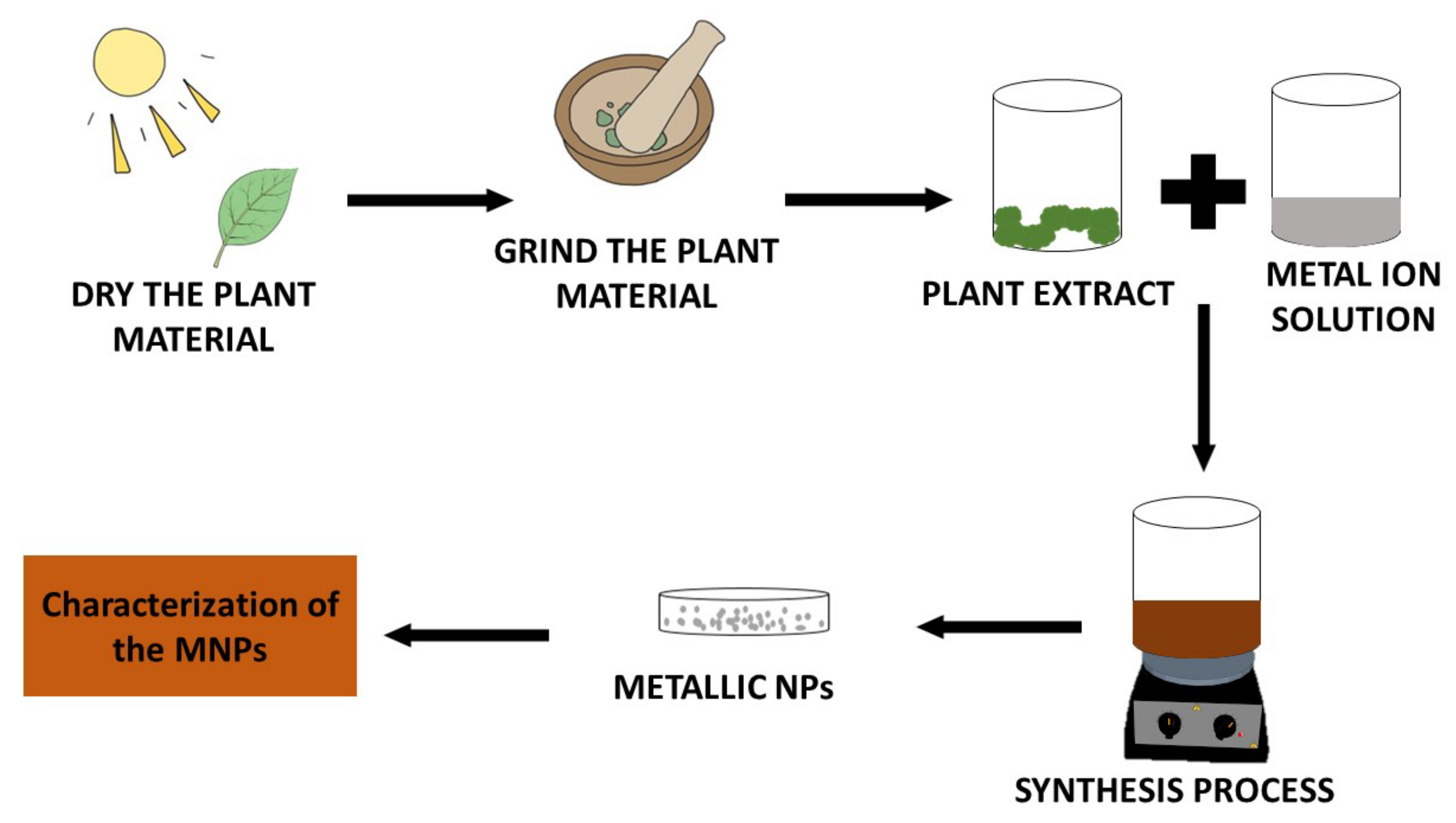 Pharmaceutics 14 02437 g002