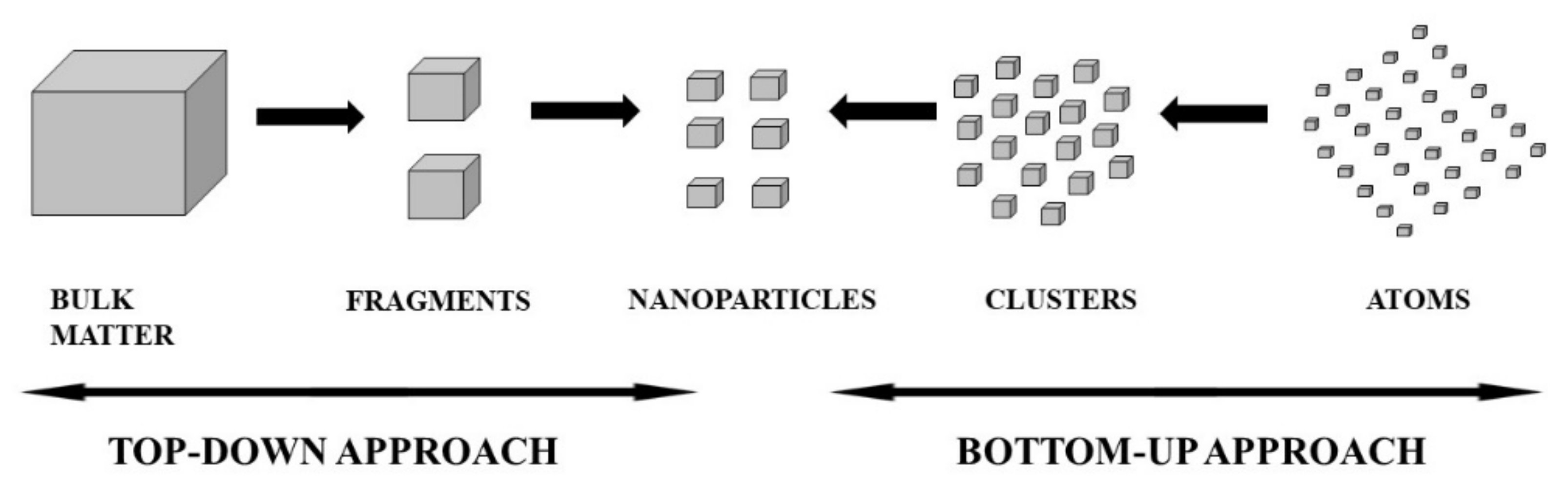Pharmaceutics 14 02437 g003