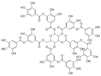 Pharmaceutics 14 02437 i002