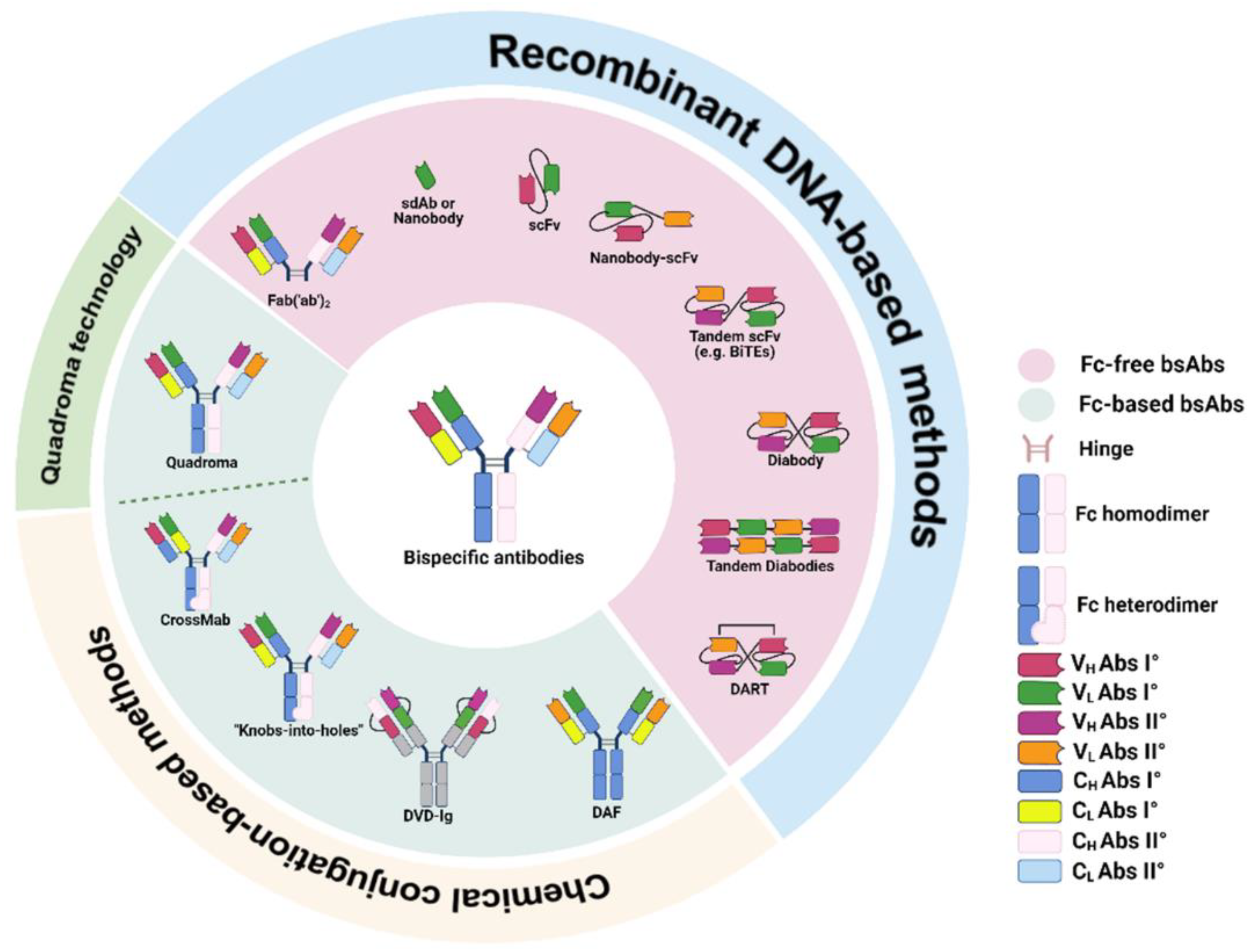 Pharmaceutics 14 02442 g002