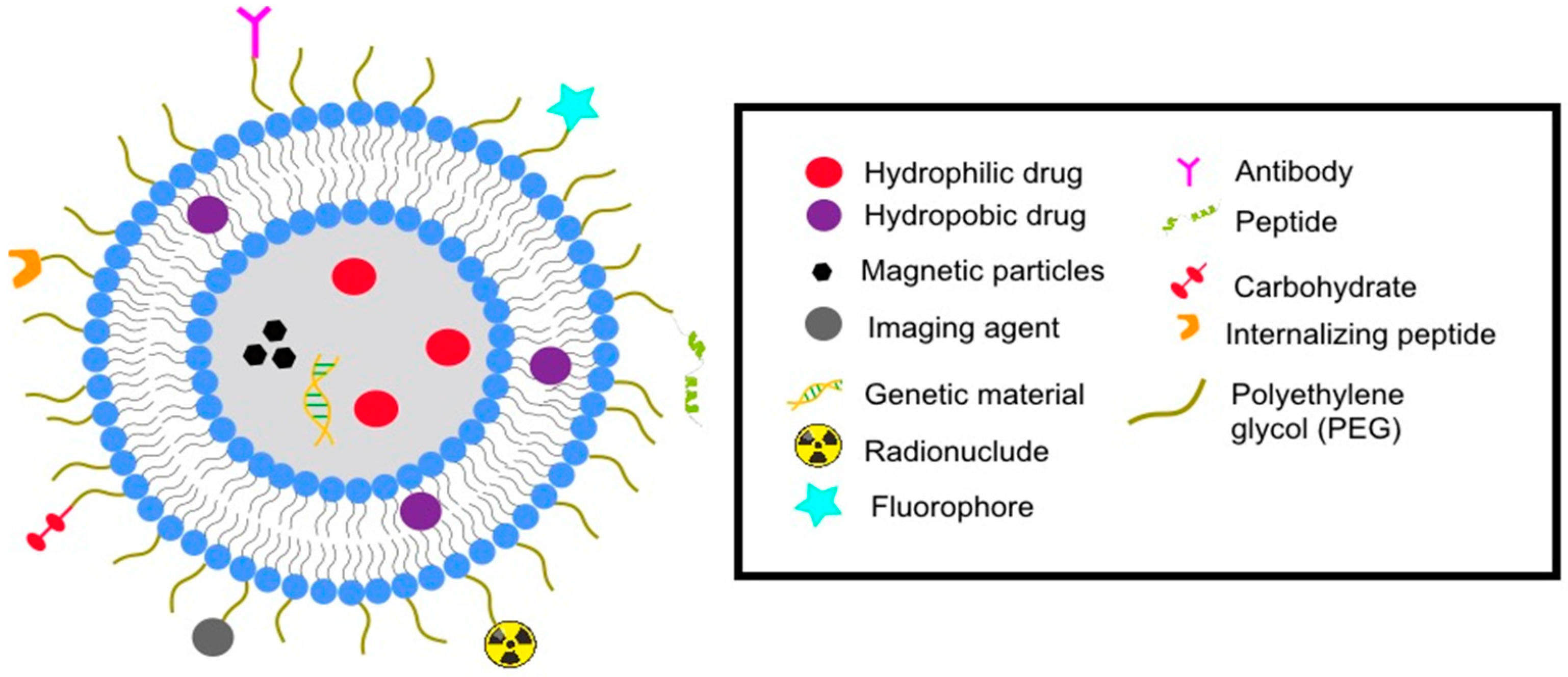 Pharmaceutics 14 02443 g001