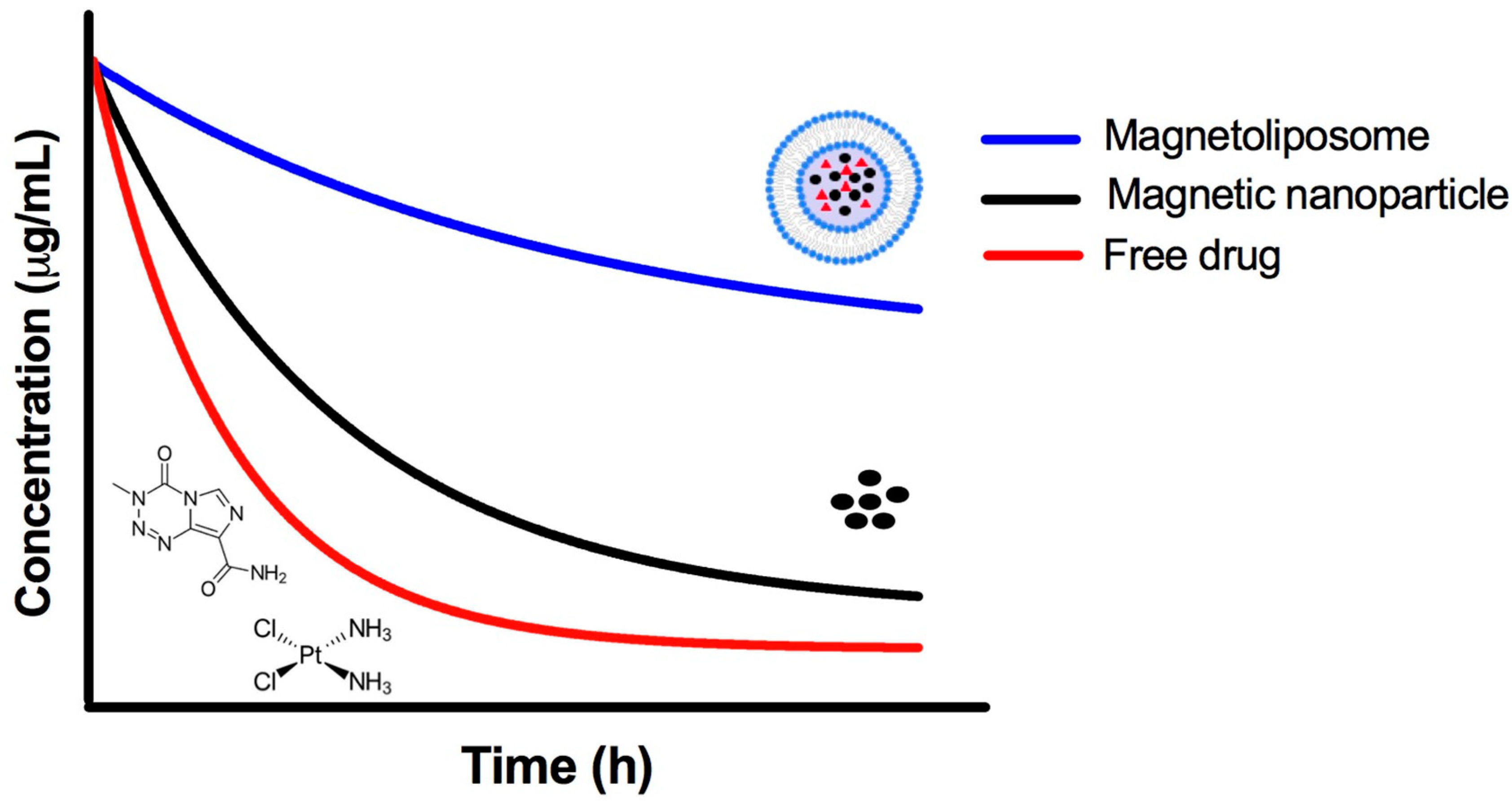 Pharmaceutics 14 02443 g005
