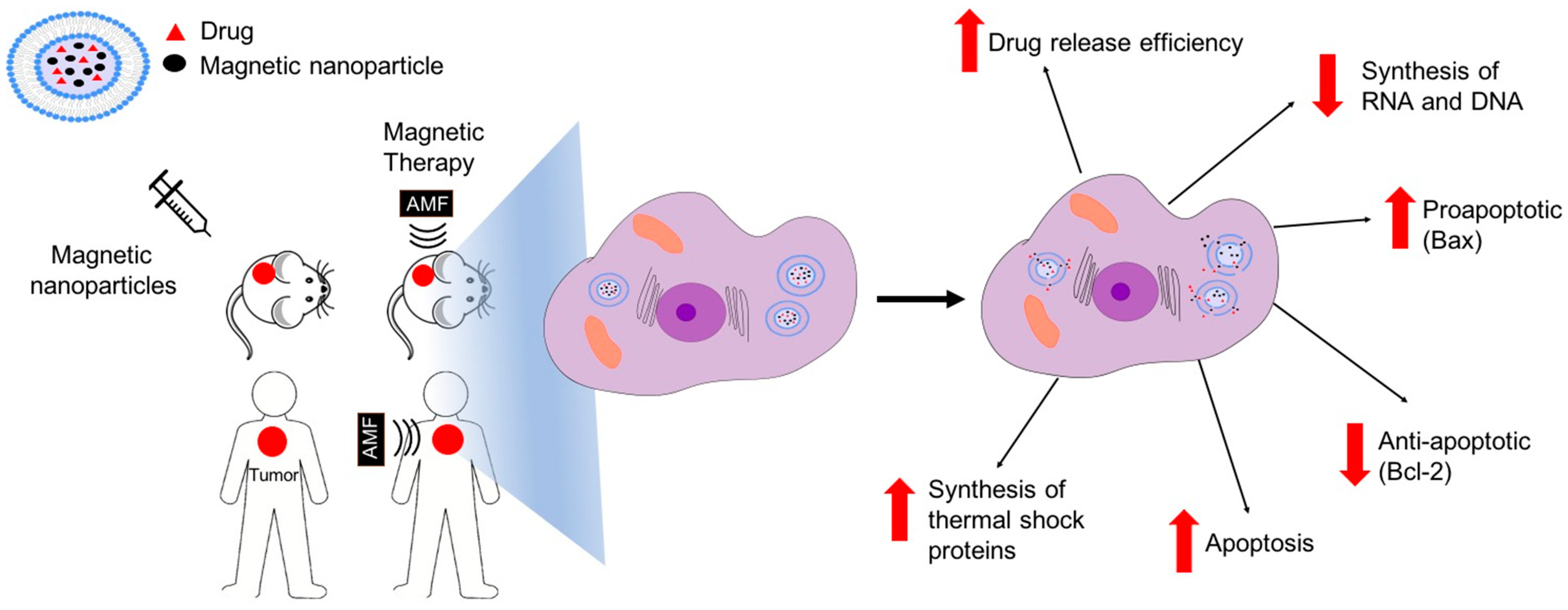 Pharmaceutics 14 02443 g006