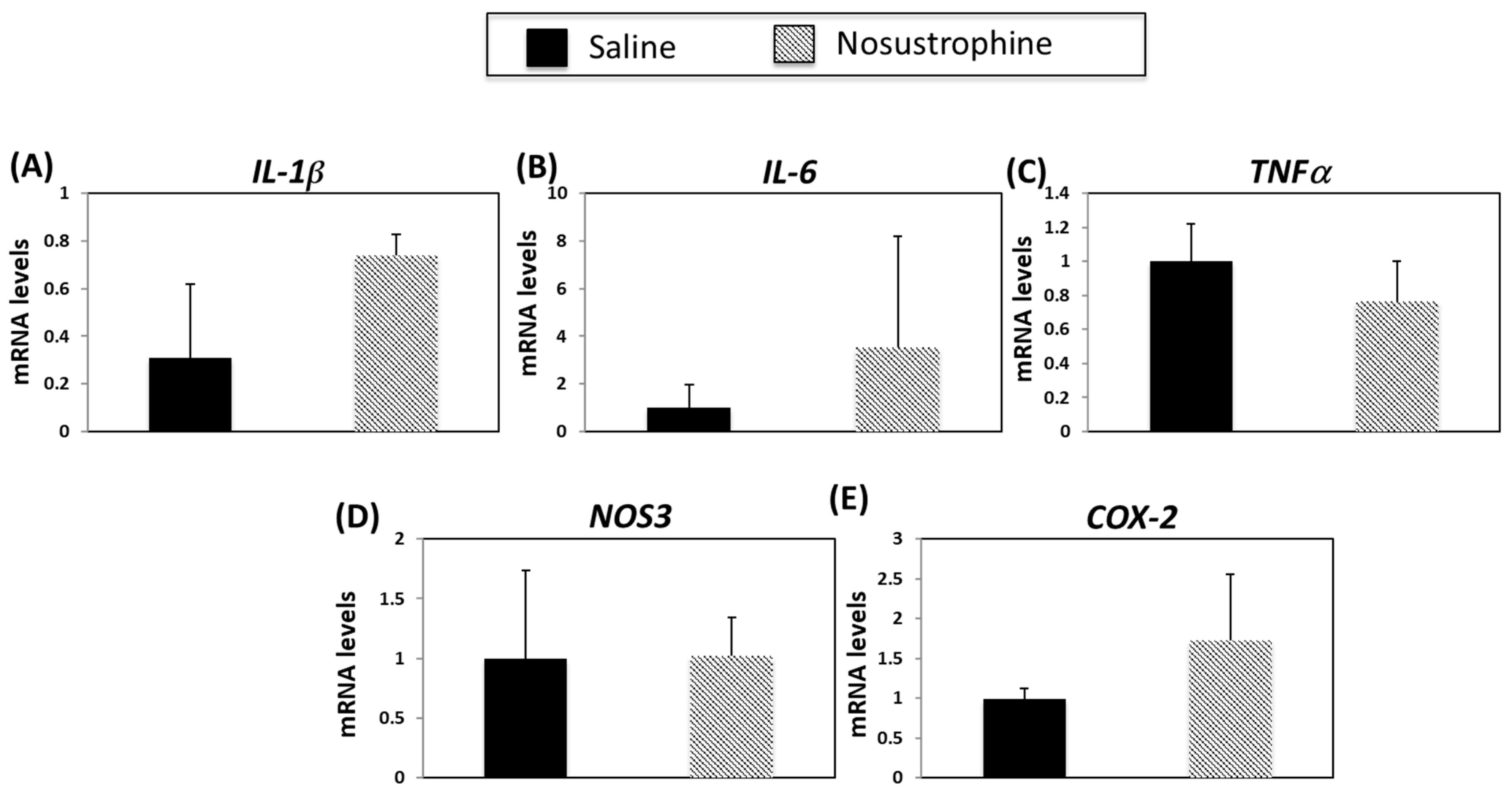 Pharmaceutics 14 02447 g007