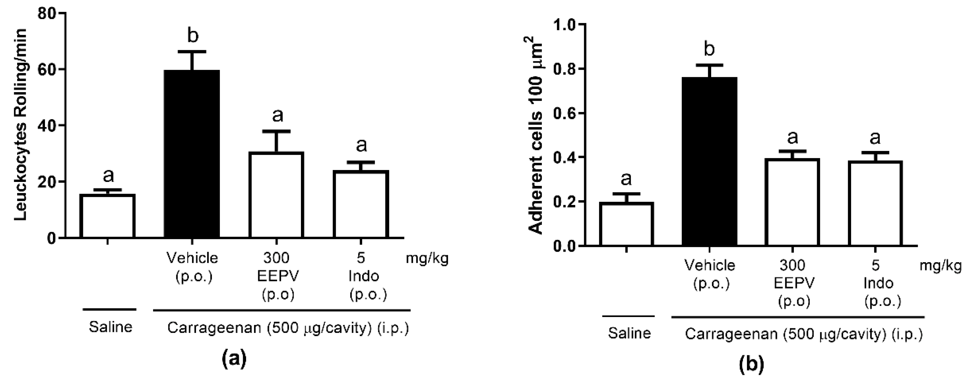 Pharmaceutics 14 02455 g006