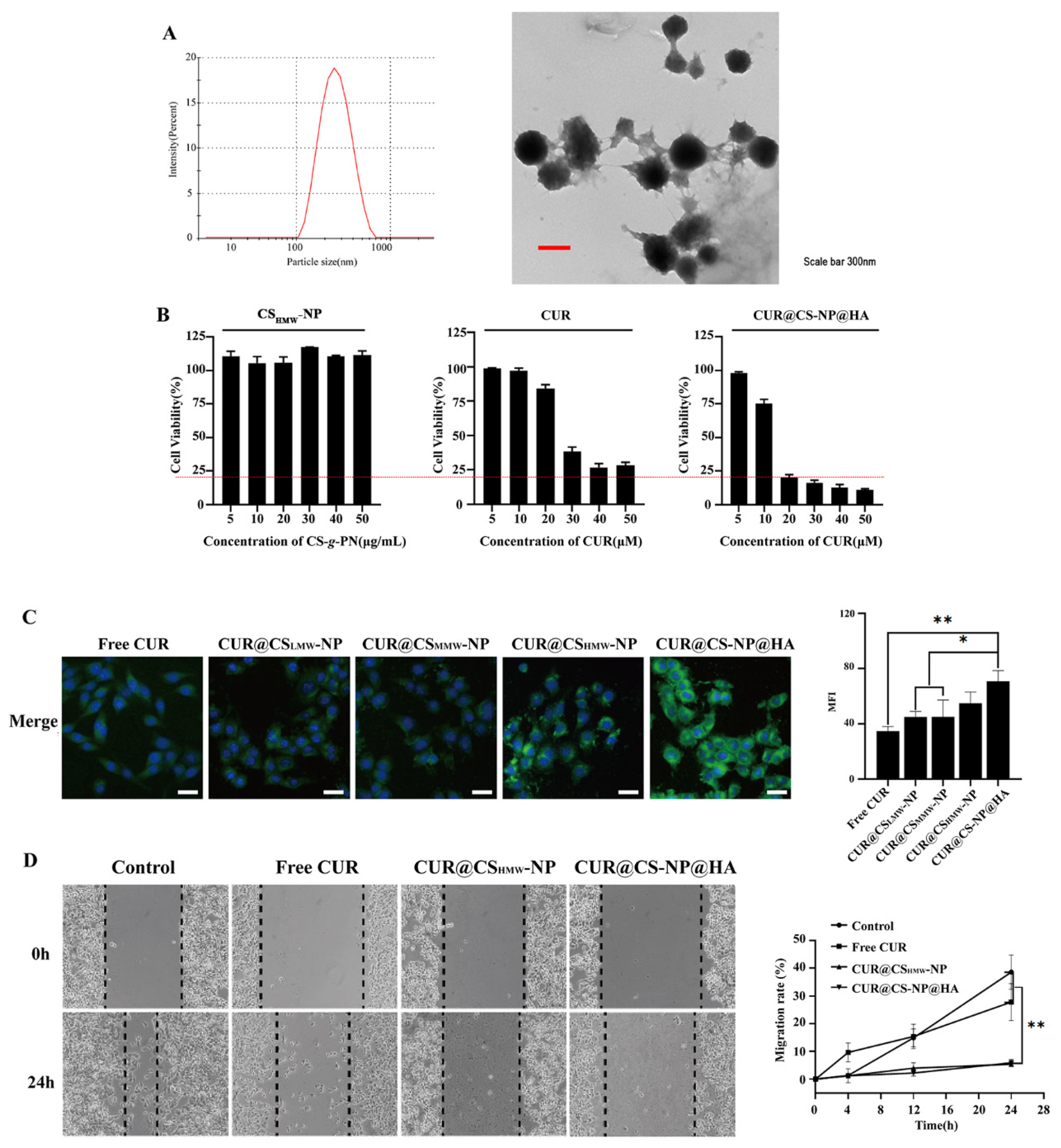 Pharmaceutics 14 02461 g005