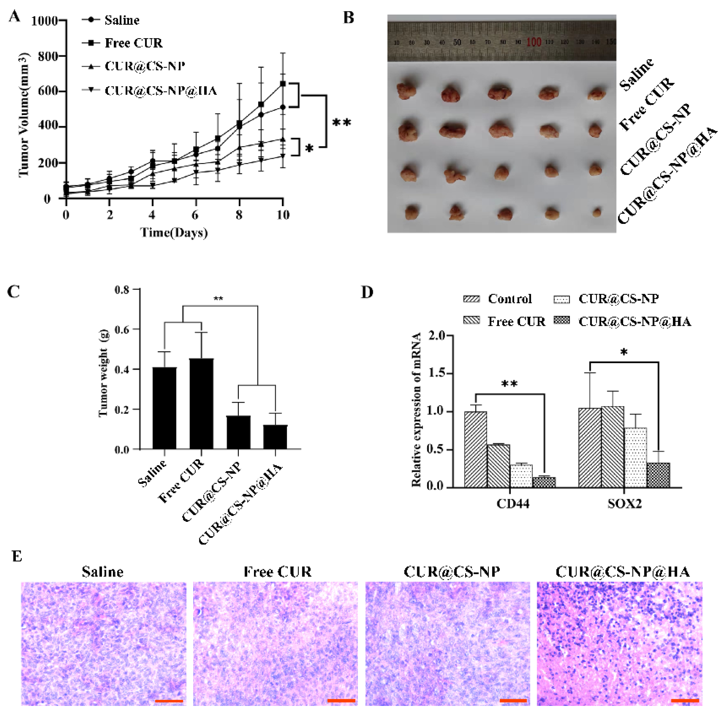 Pharmaceutics 14 02461 g007