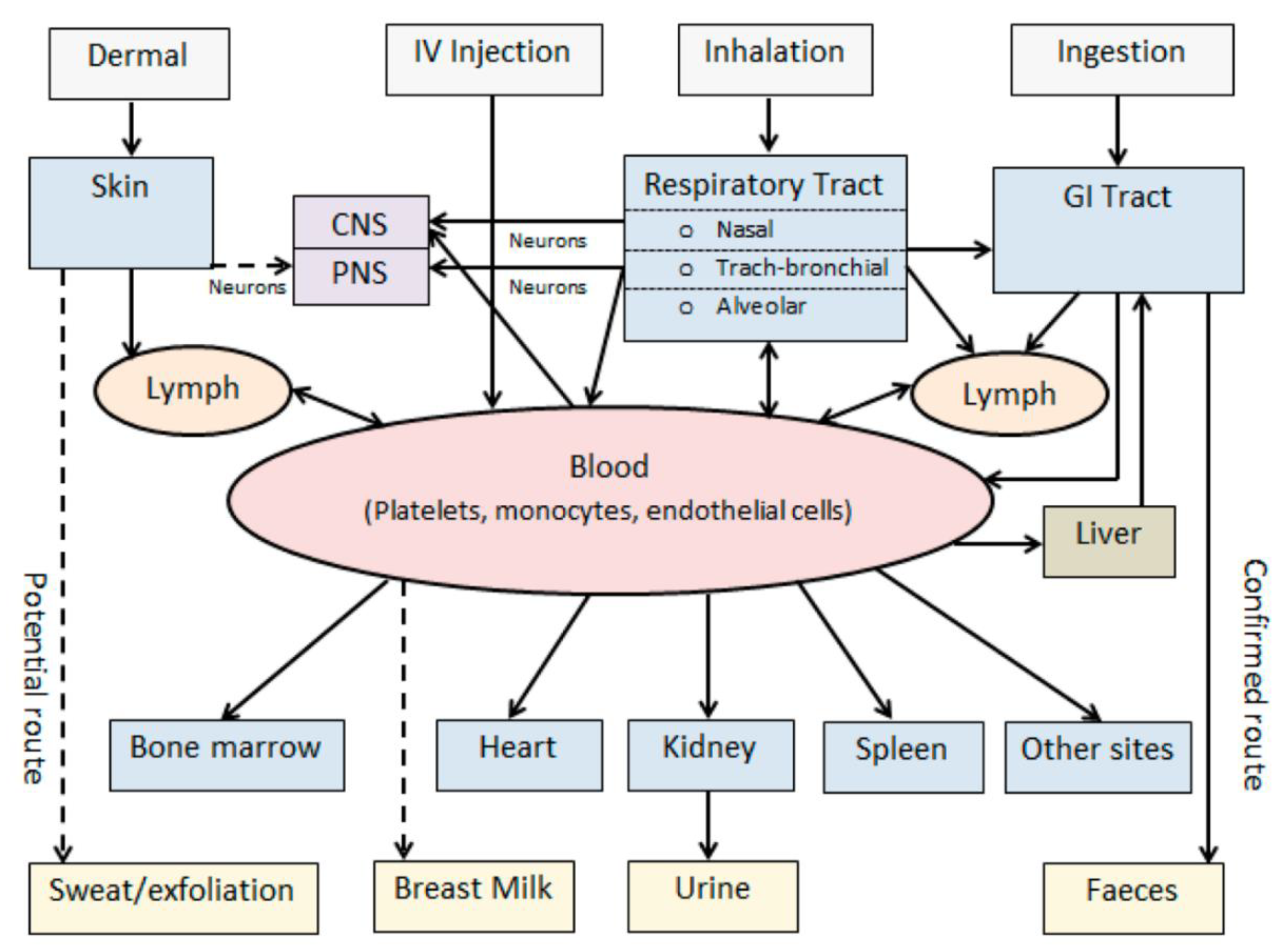 Pharmaceutics 14 02463 g004