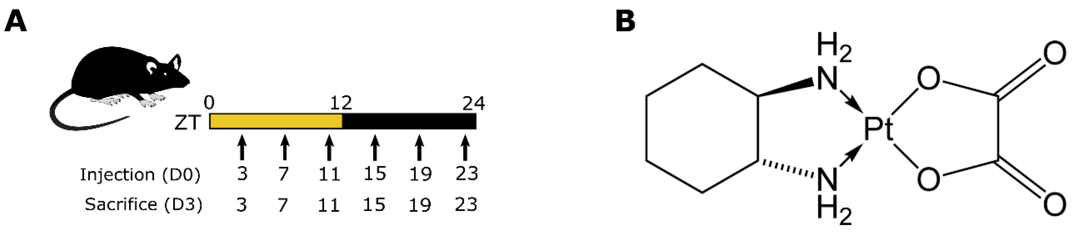 Pharmaceutics 14 02465 g001