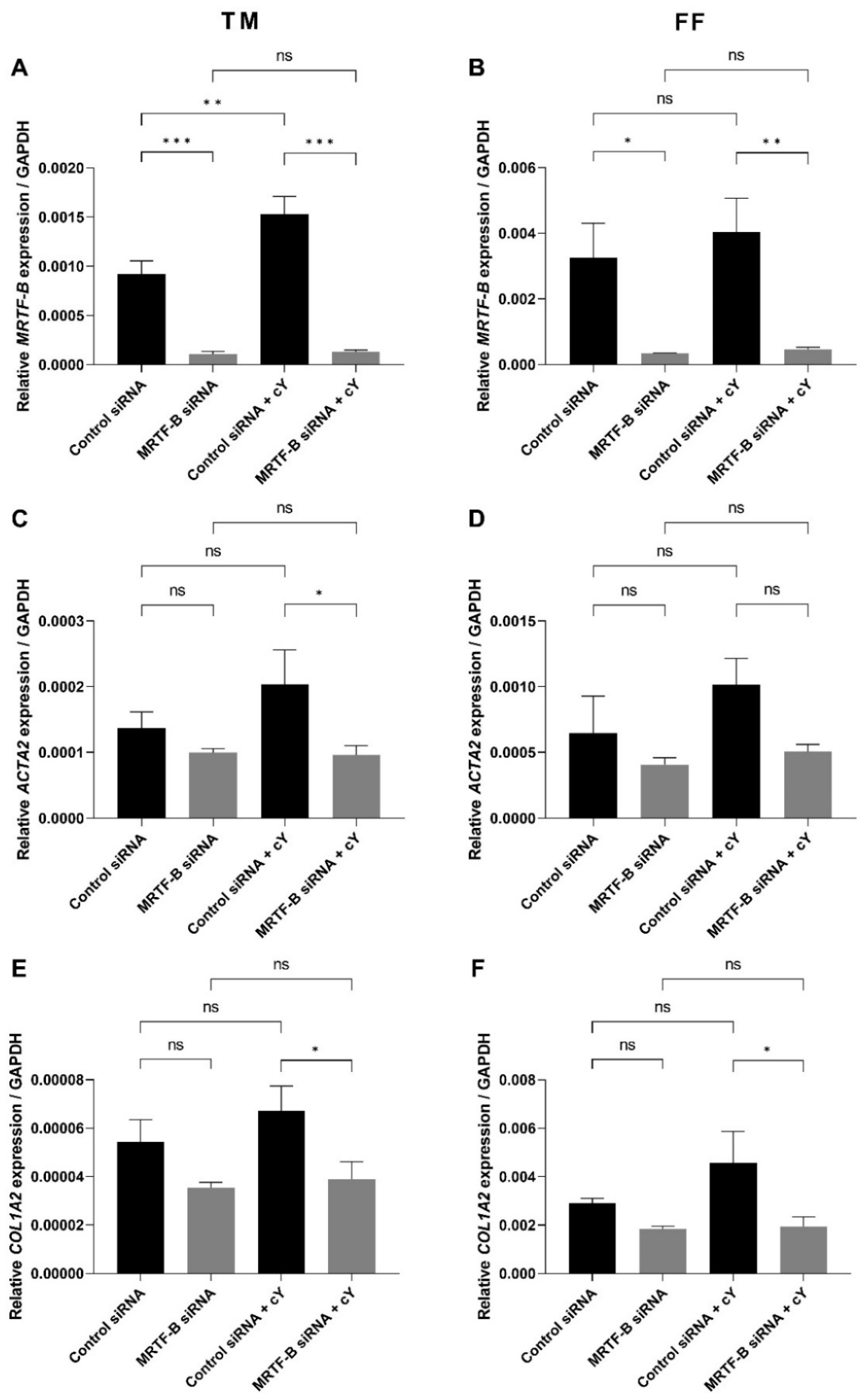 Pharmaceutics 14 02472 g004