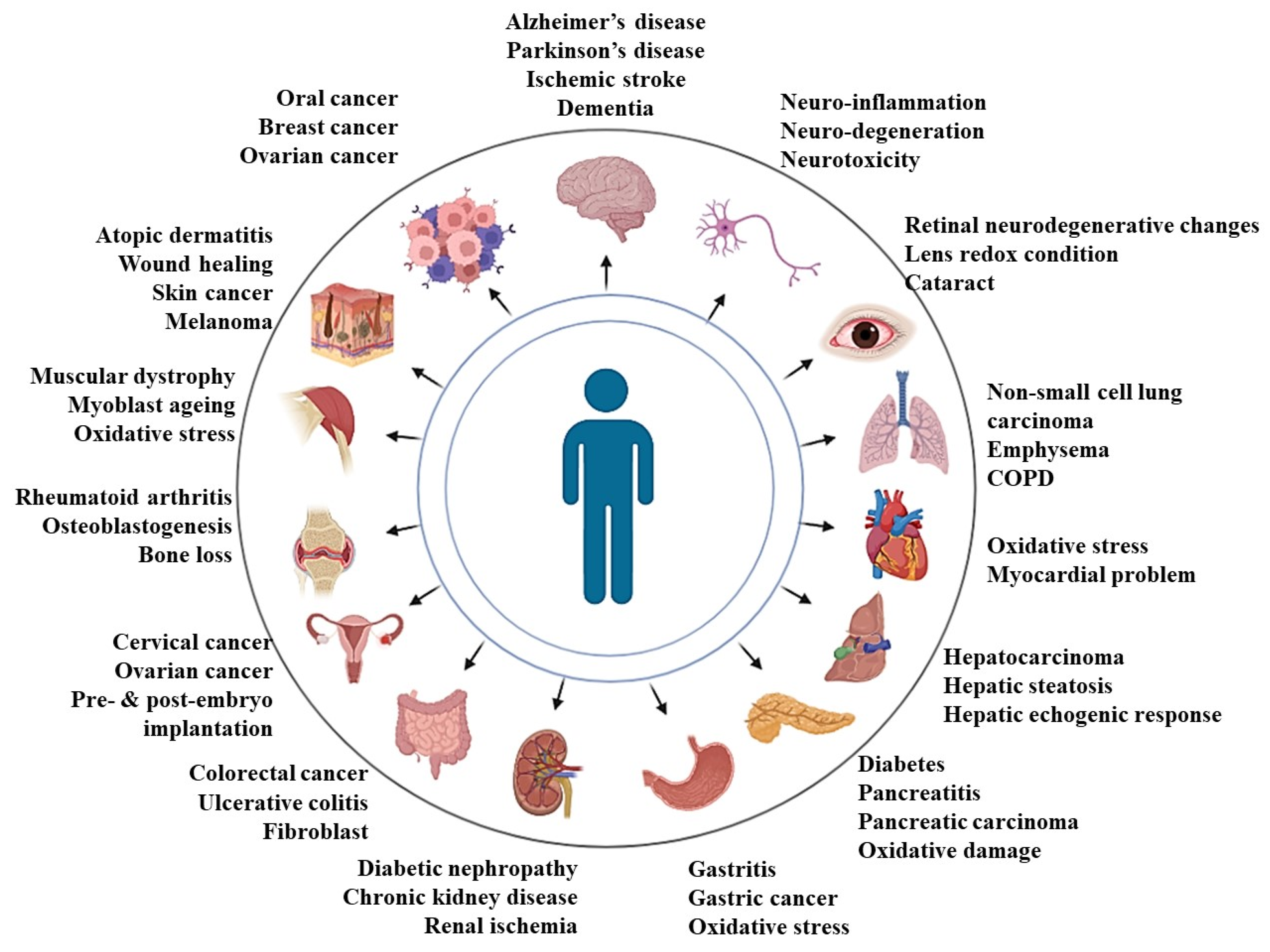 Pharmaceutics 14 02479 g001